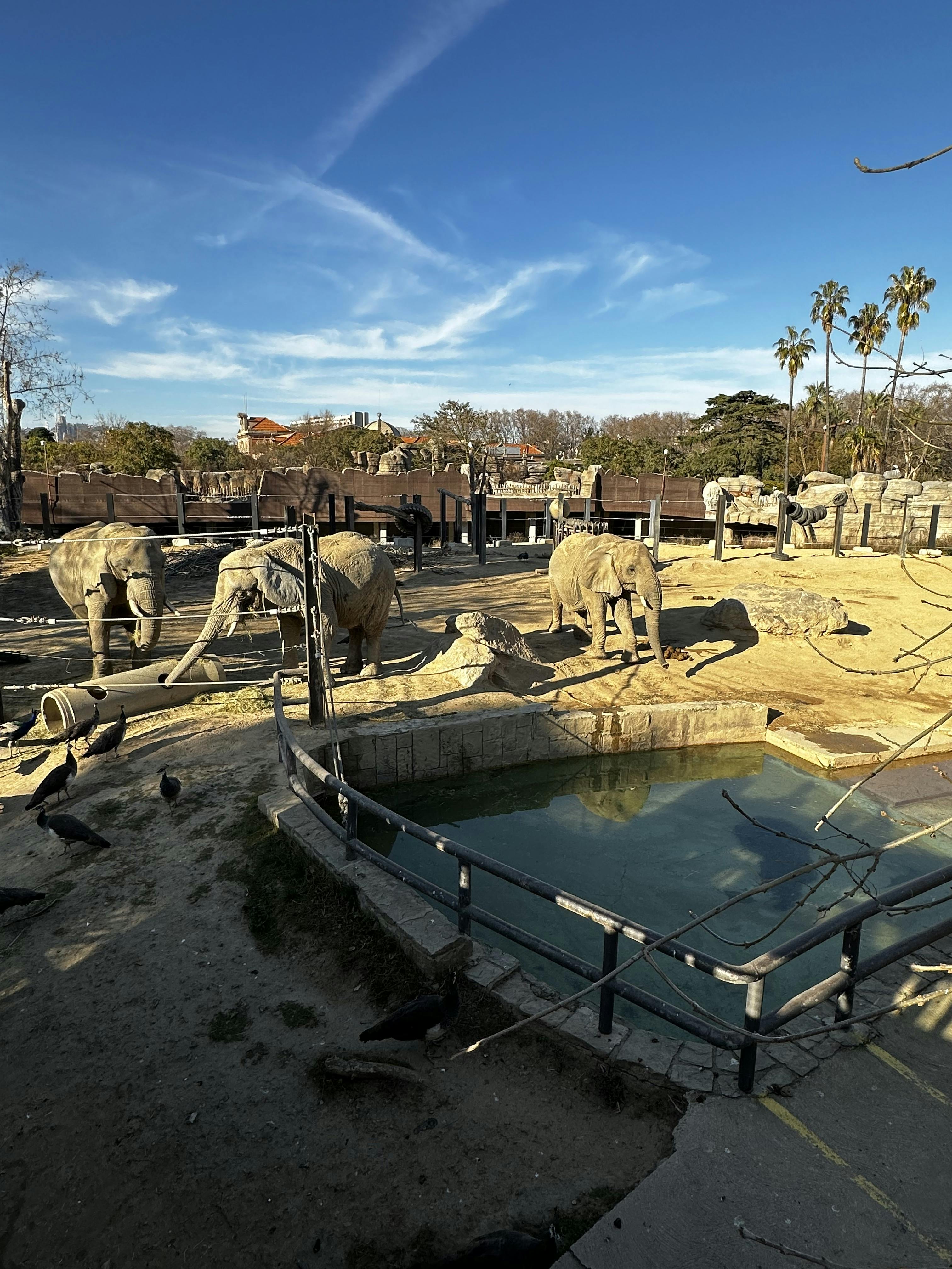 Barcelona Zoo Tickets - Barcelona | Tiqets.com