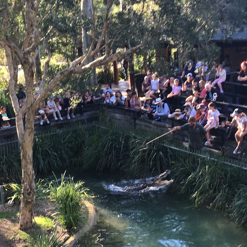 Australian Reptile Park tickets | Somersby