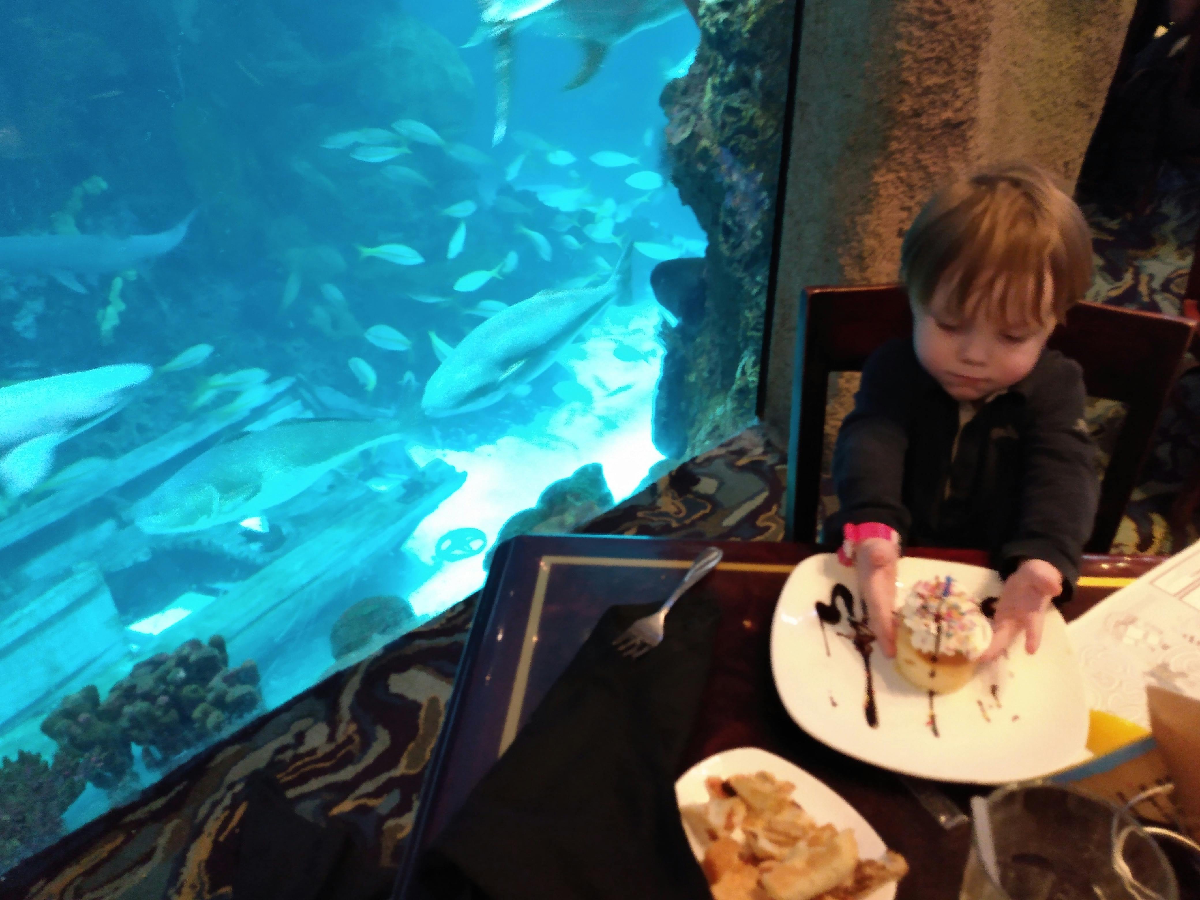 Downtown Aquarium Denver Tickets Tiqets