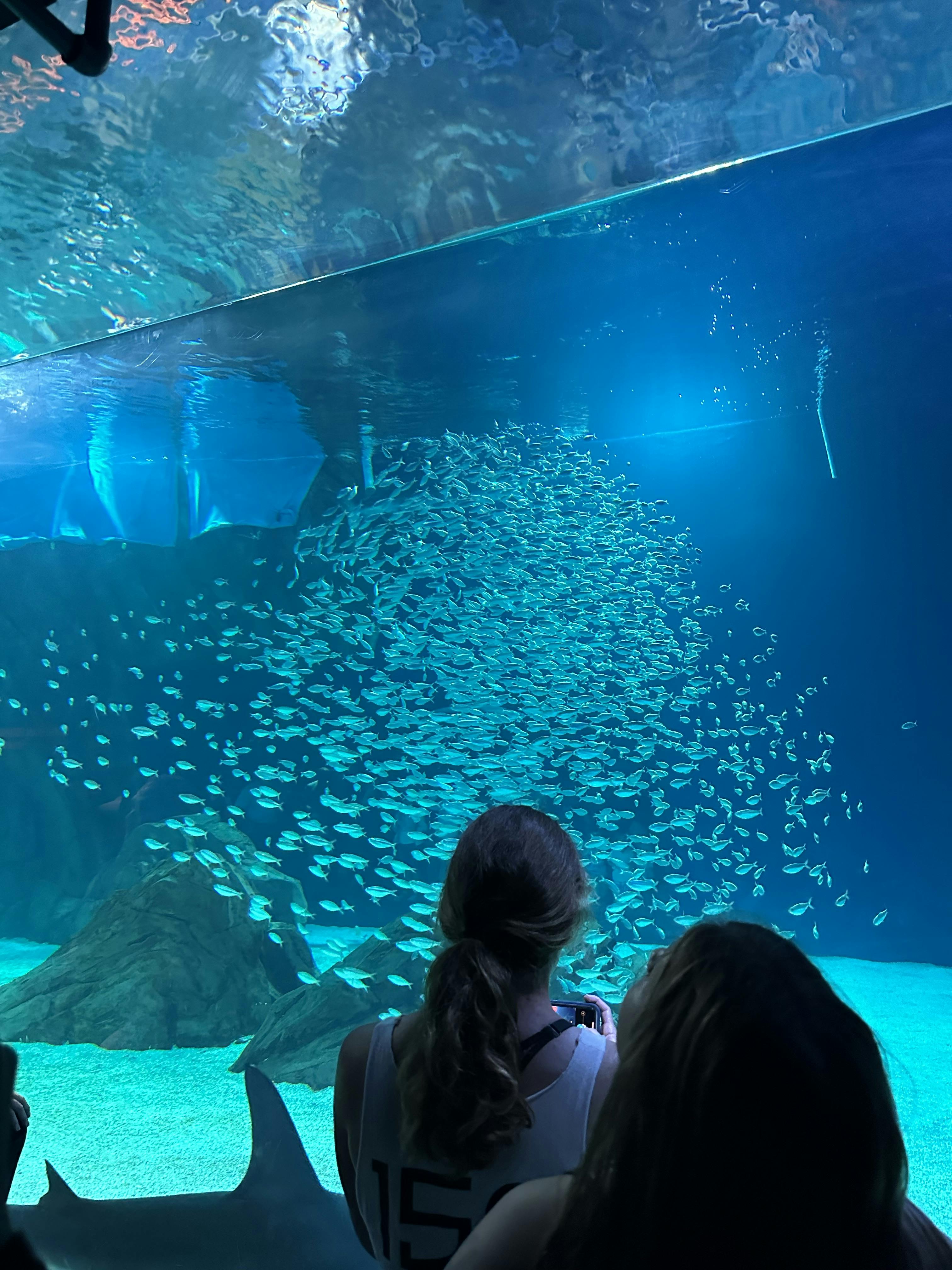 Aquarium Tickets Atlanta