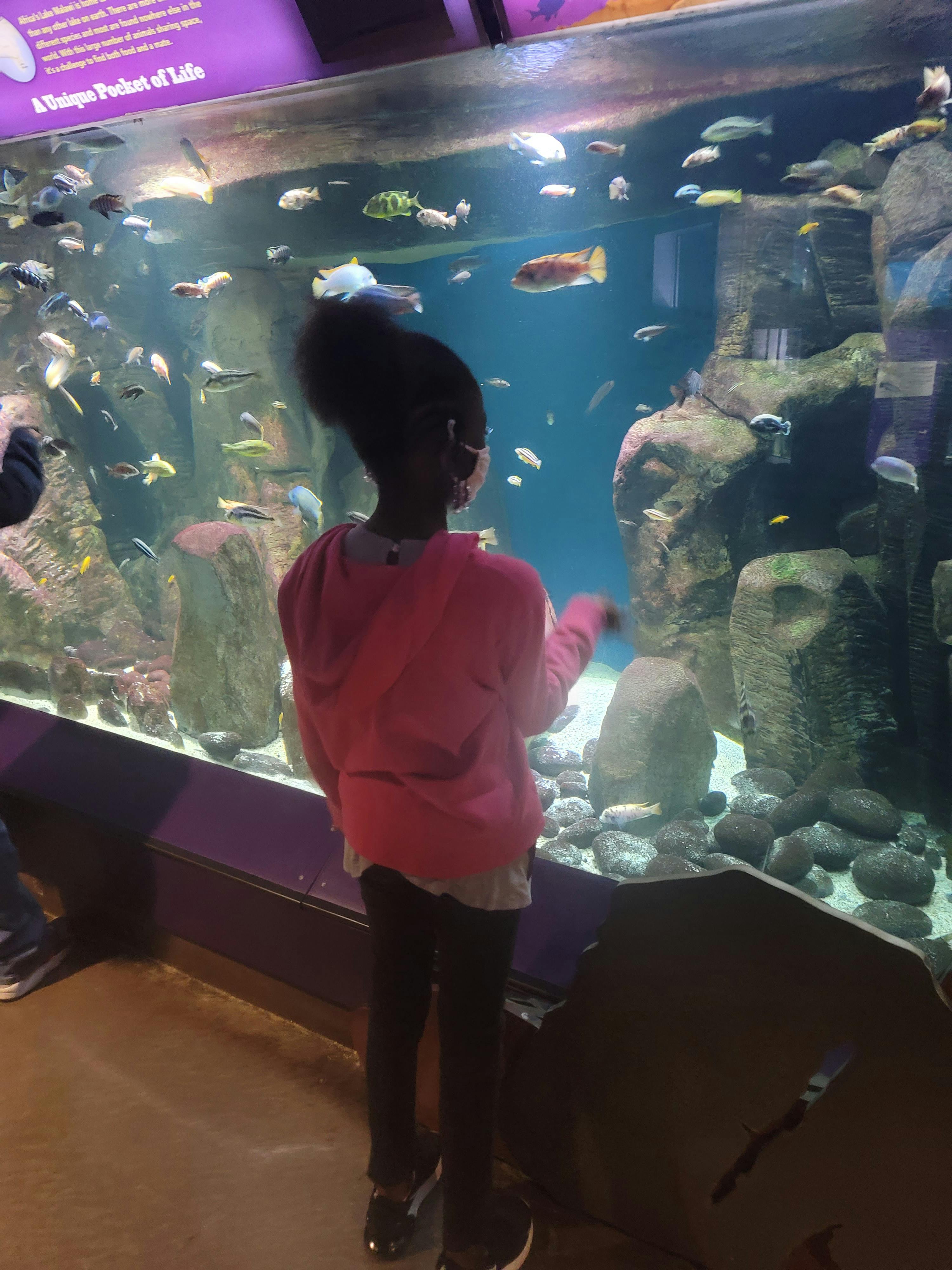 New York Aquarium Tickets New York