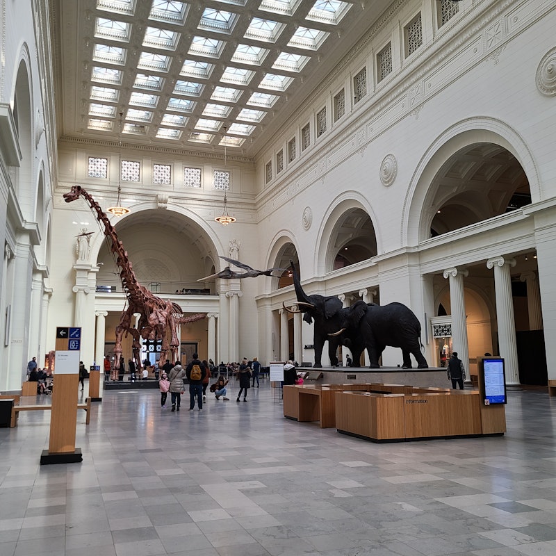 Tickets The Field Museum Chicago Tiqets Com Museum Free Day Chicago 2022