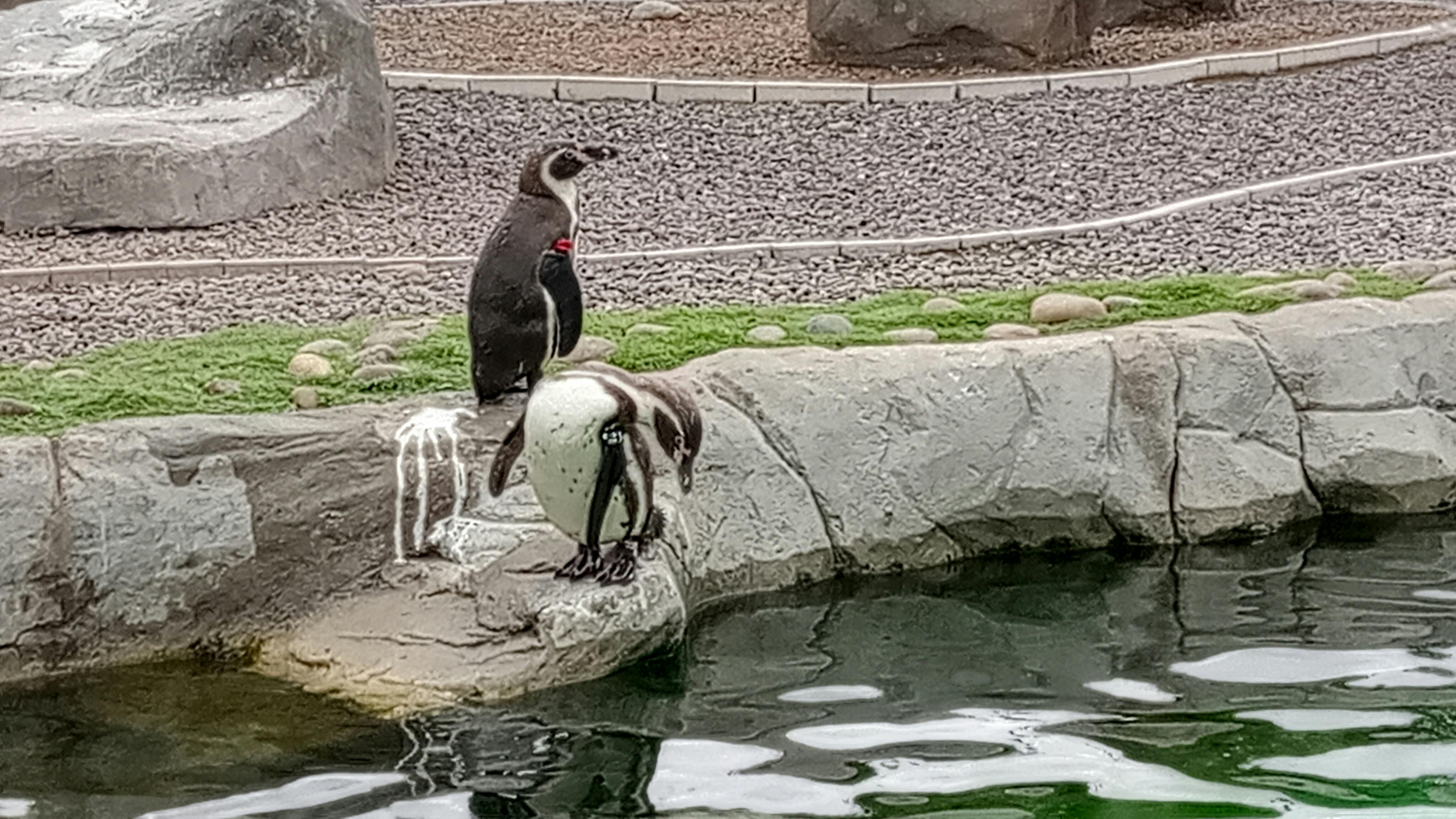 Exploris Aquarium Tickets Portaferry