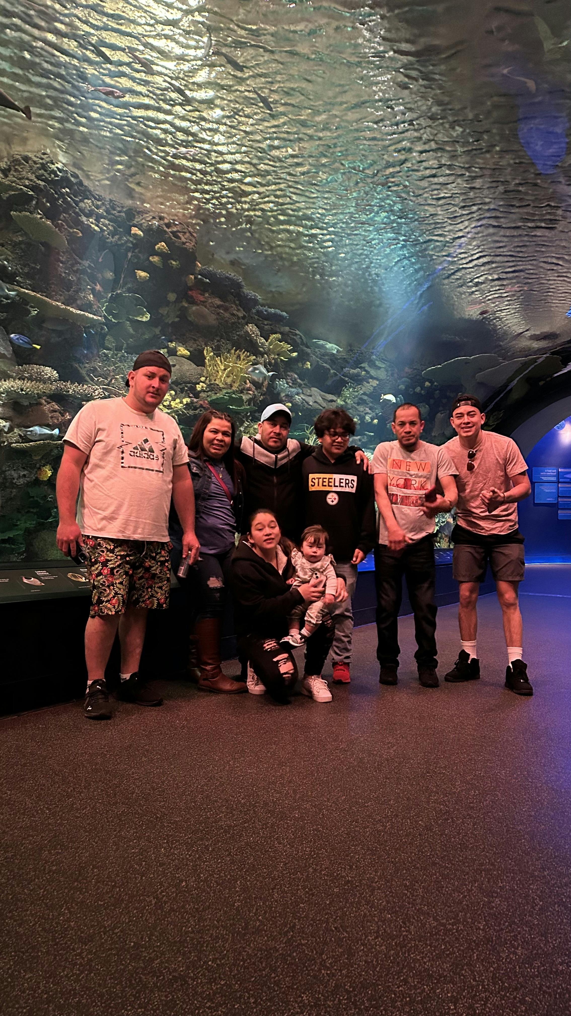 New York Aquarium Tickets New York