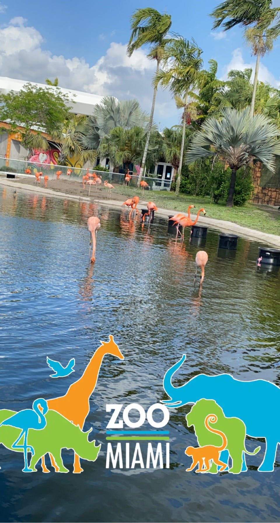 Tickets for Miami Zoo Florida Wildlife Fun Tiqets