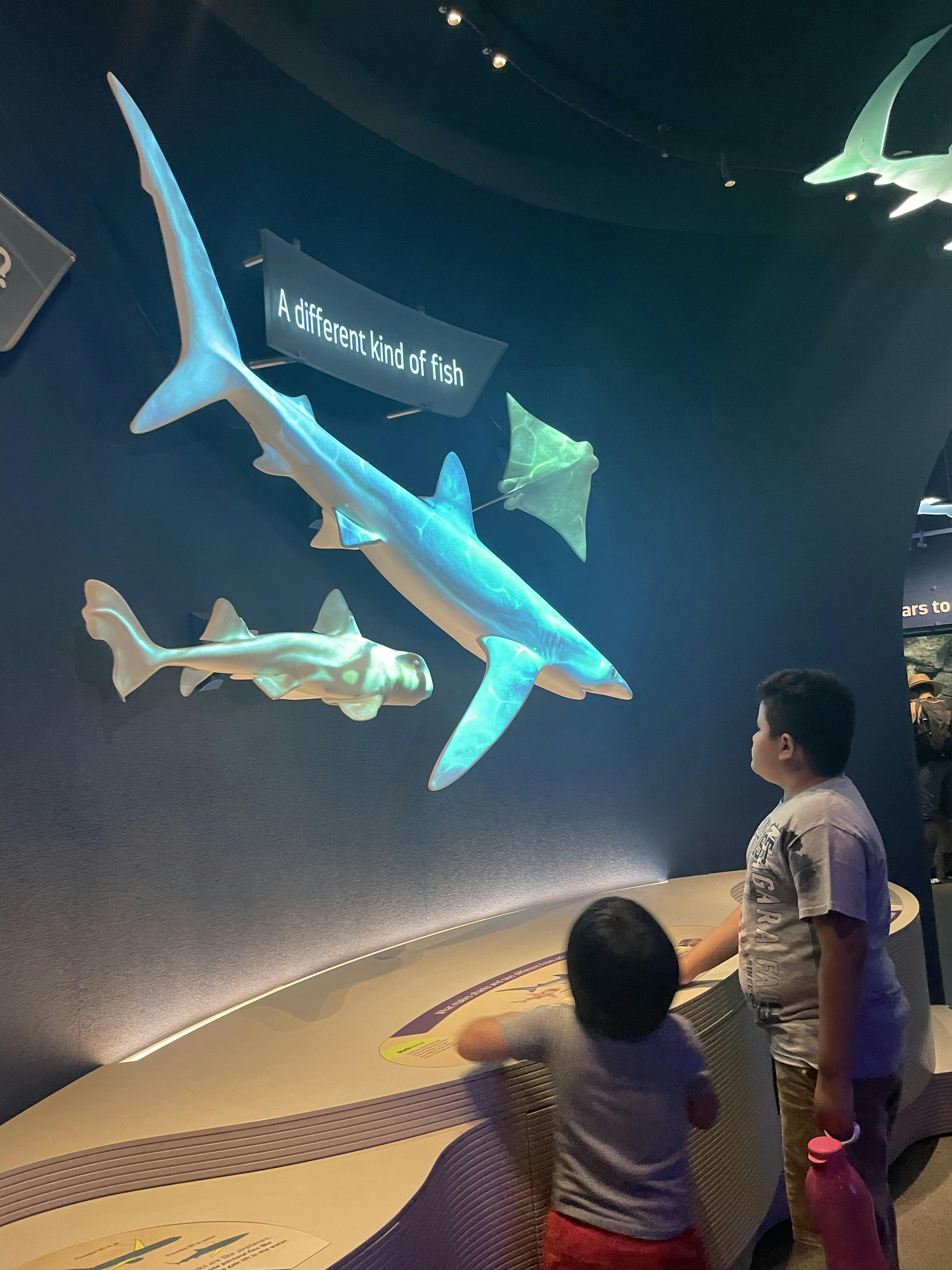 New York Aquarium Tickets New York