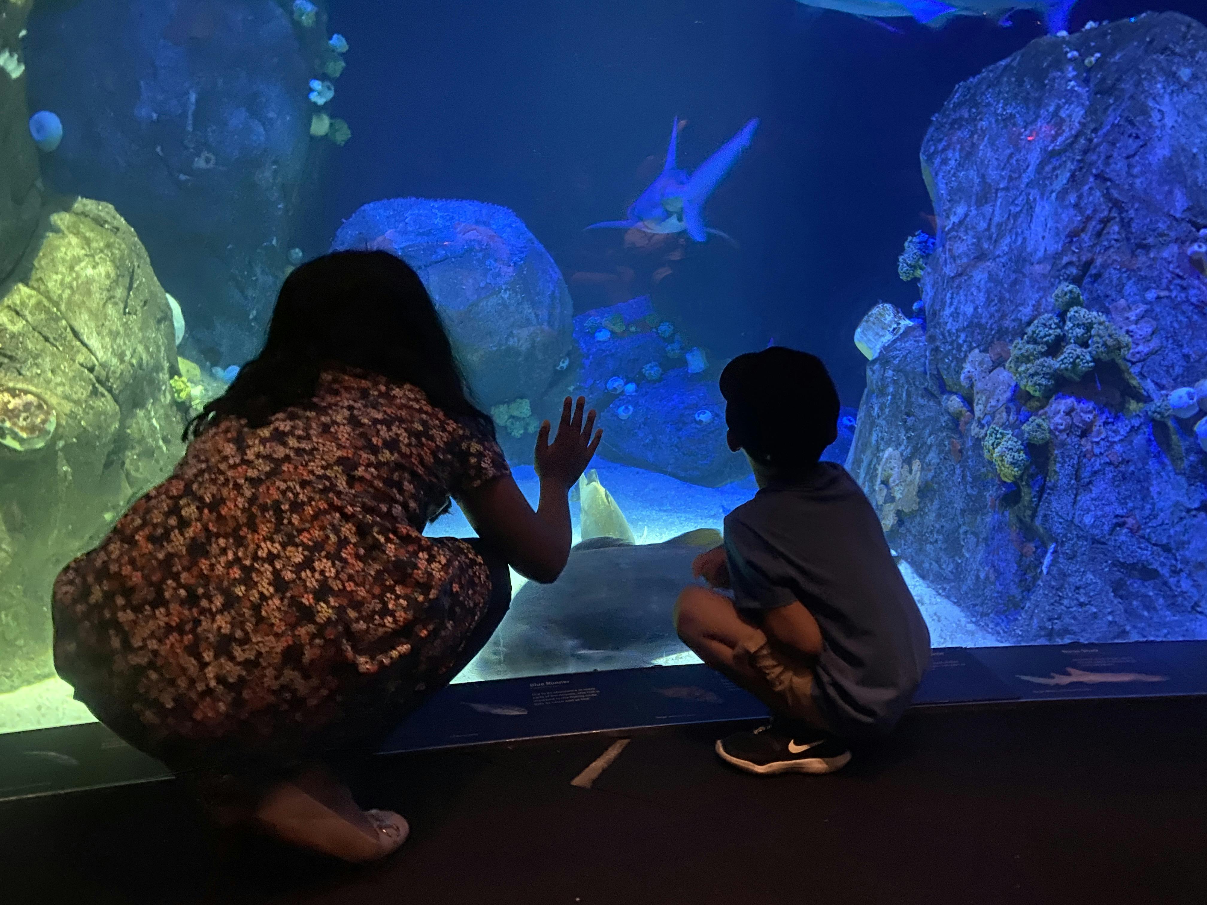 New York Aquarium Tickets Tiqets