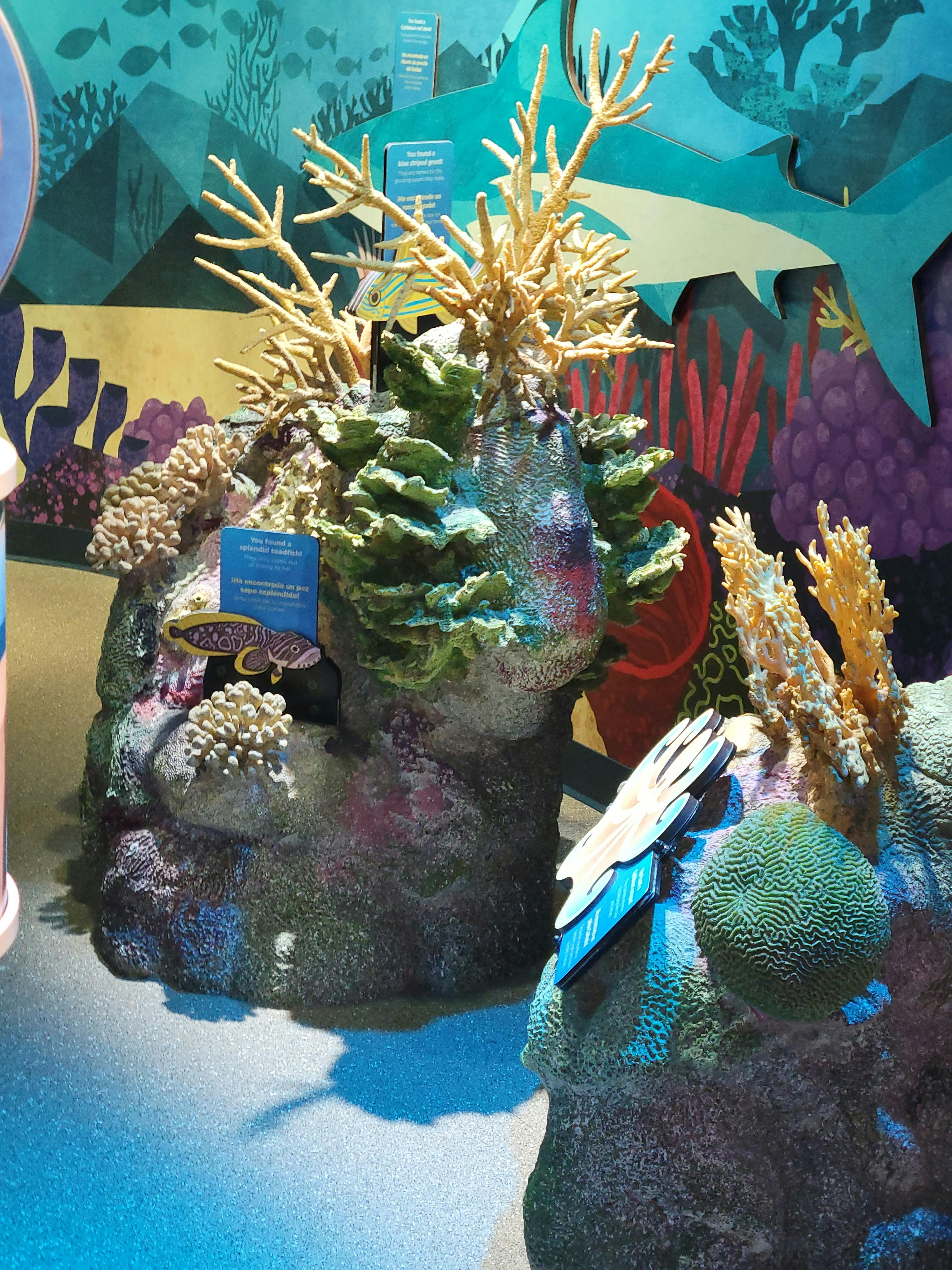 New York Aquarium Tickets Tiqets