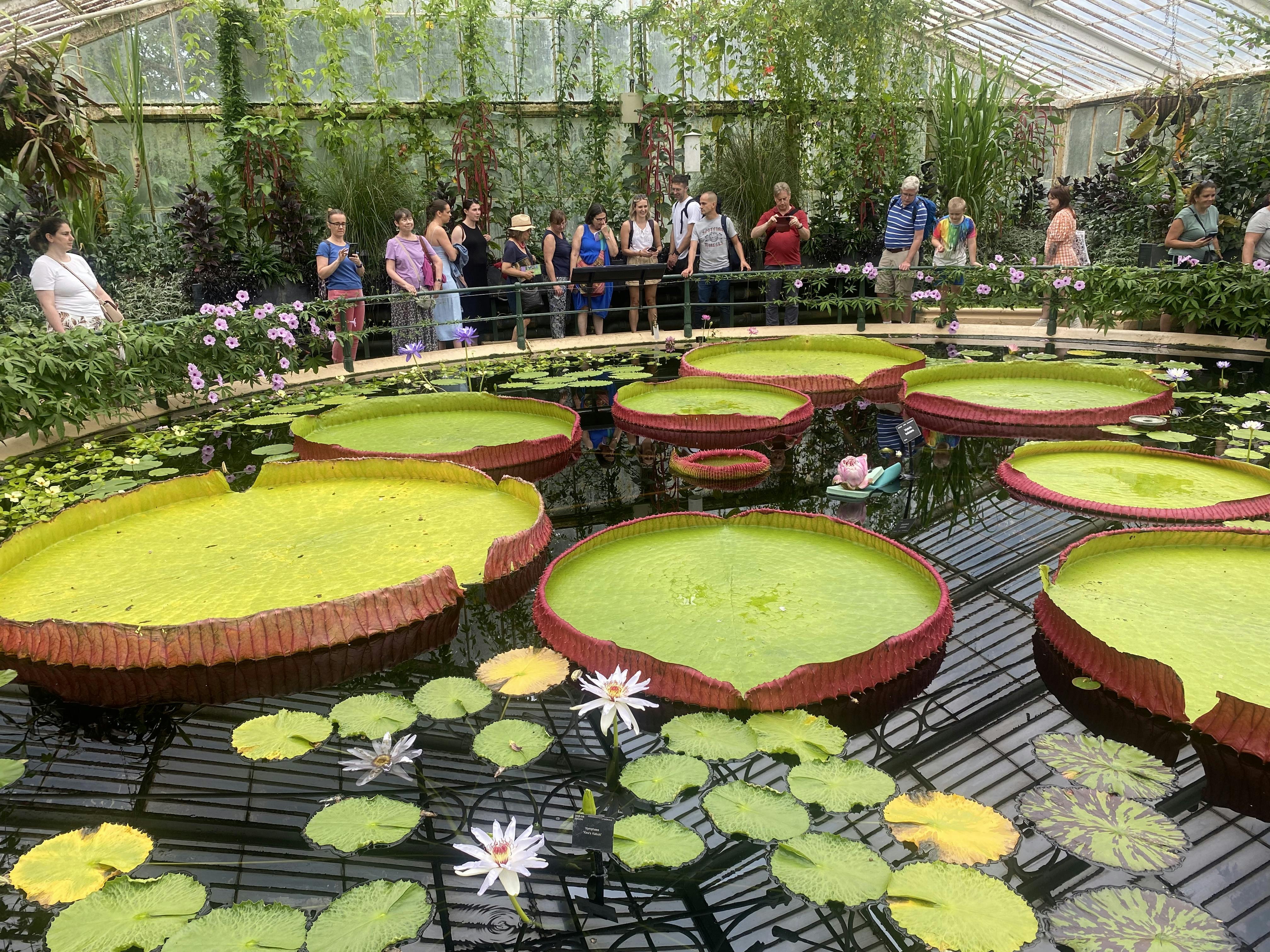 Kew Gardens Tickets London