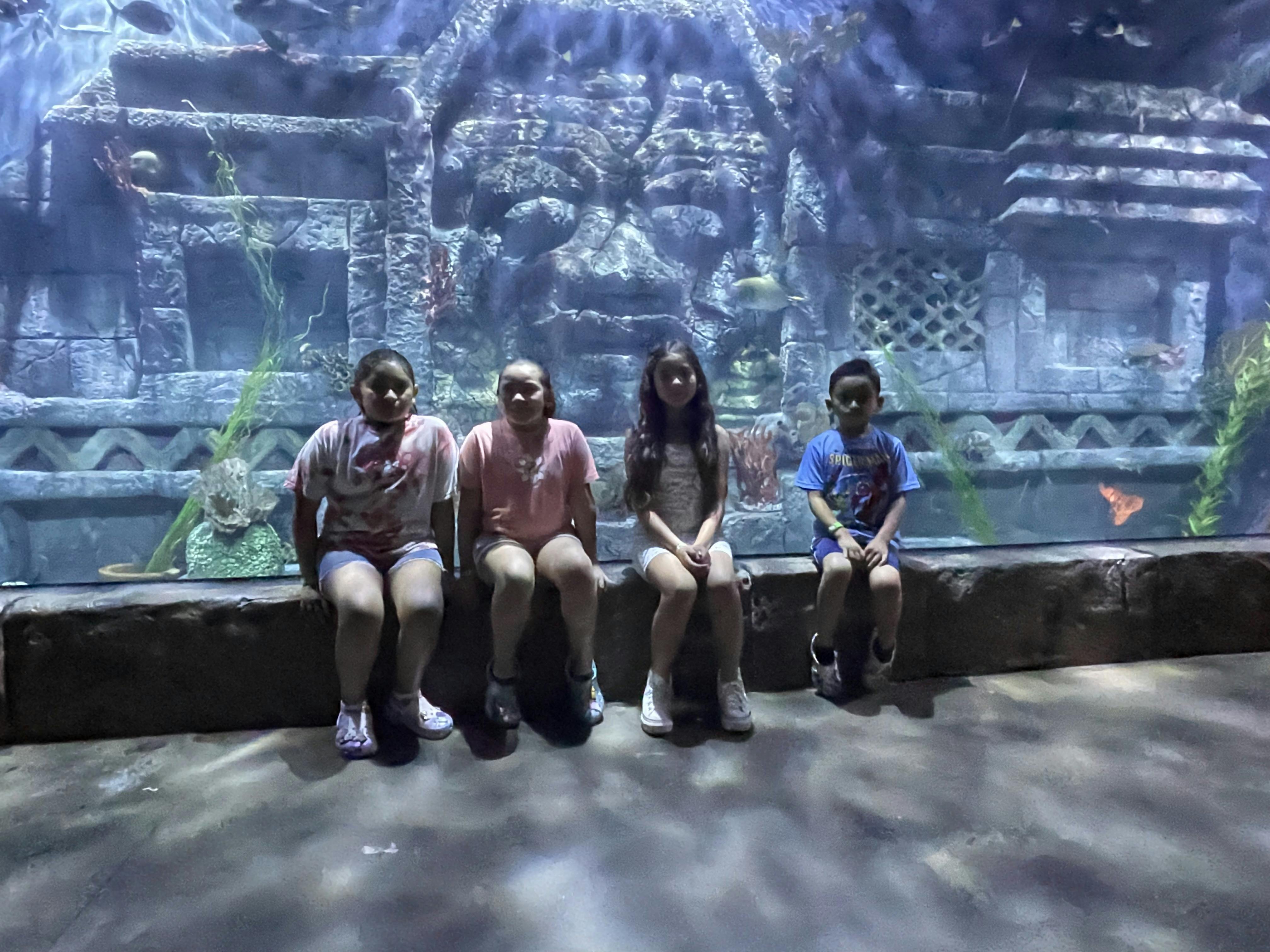 Downtown Aquarium Houston Tickets Houston