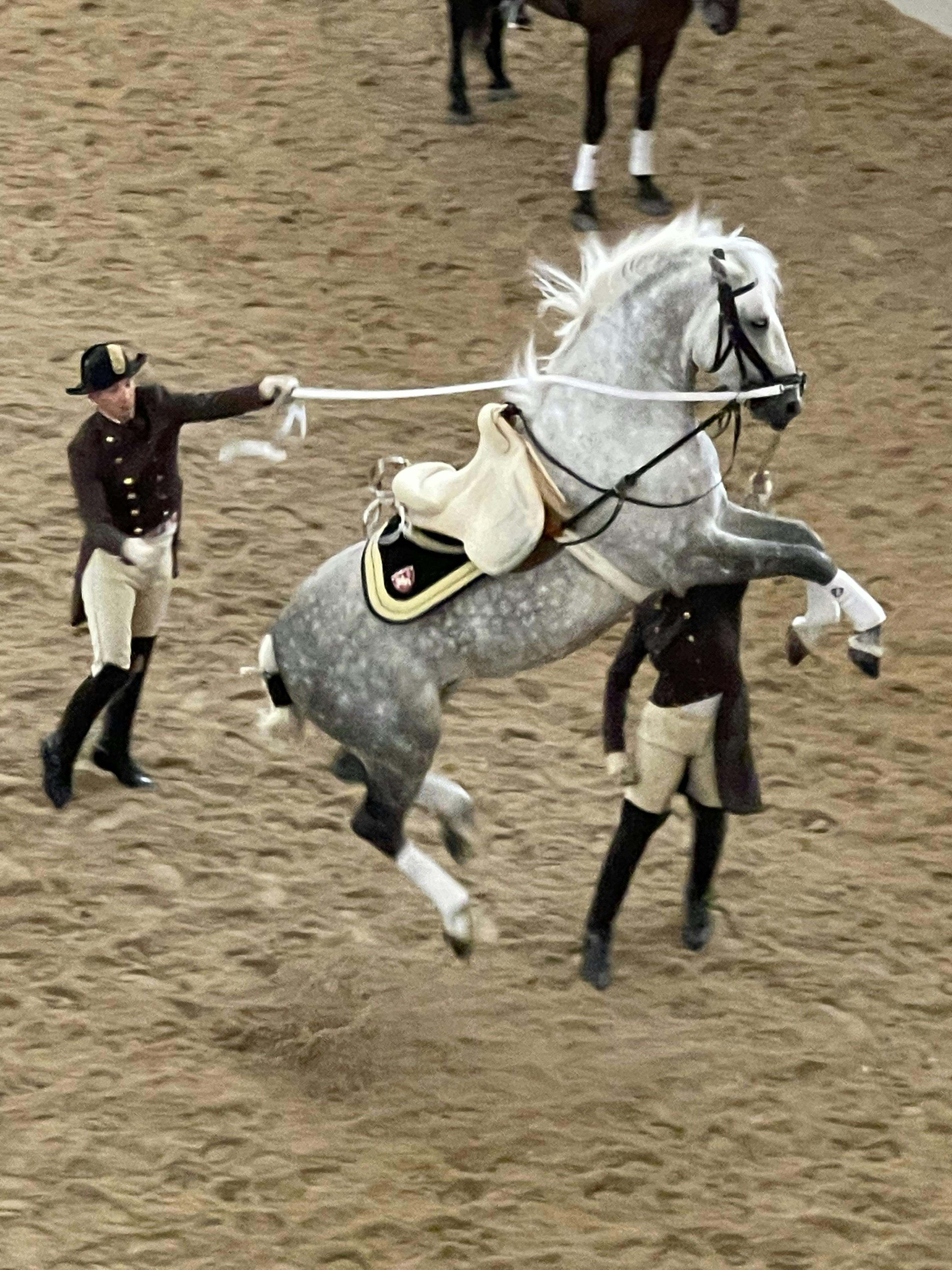 Horse Training at the Spanish Riding School Tickets