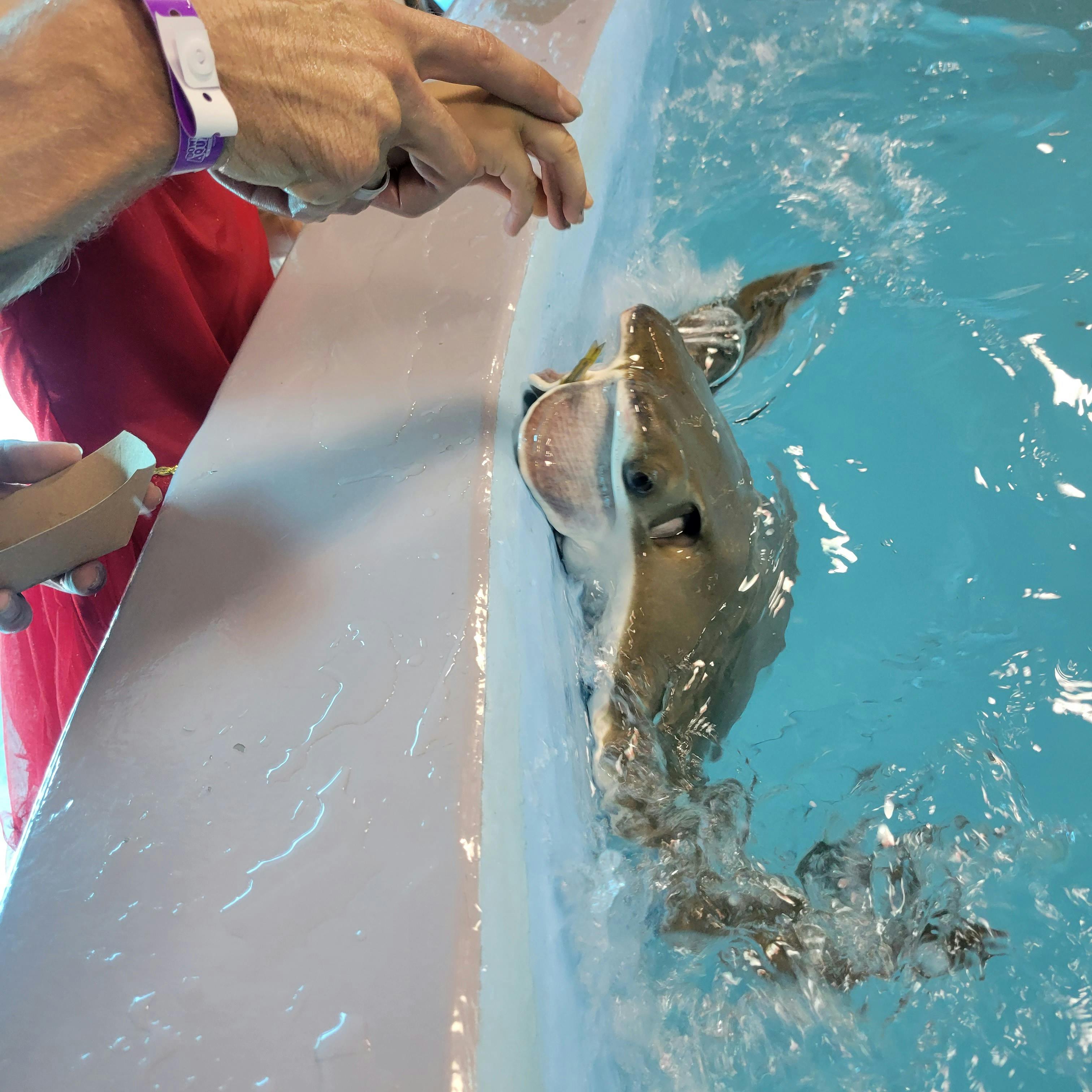 Downtown Aquarium Houston Tickets