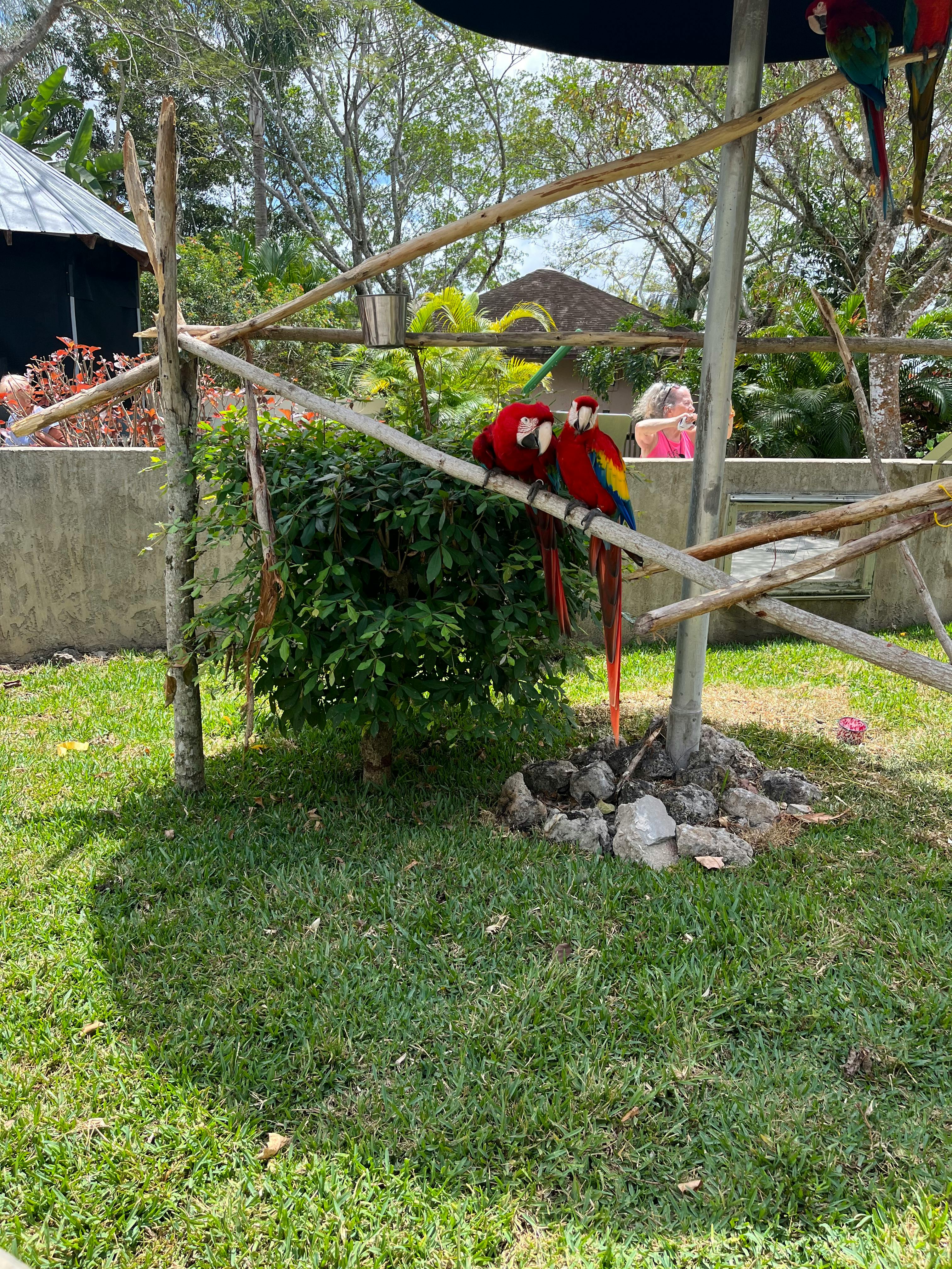 Lion Country Safari tickets Loxahatchee