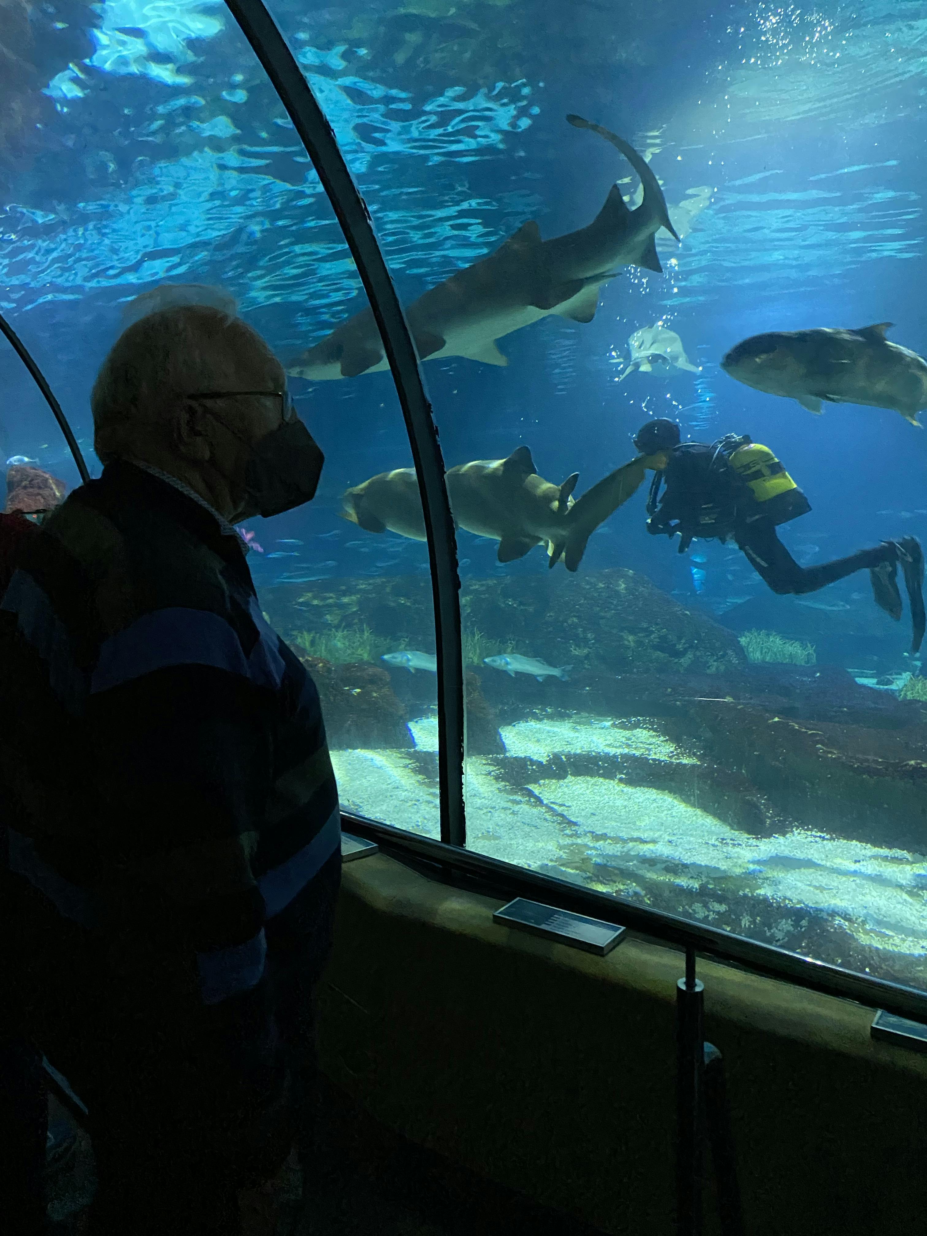 Barcelona Aquarium Tickets Eintritt Tiqets