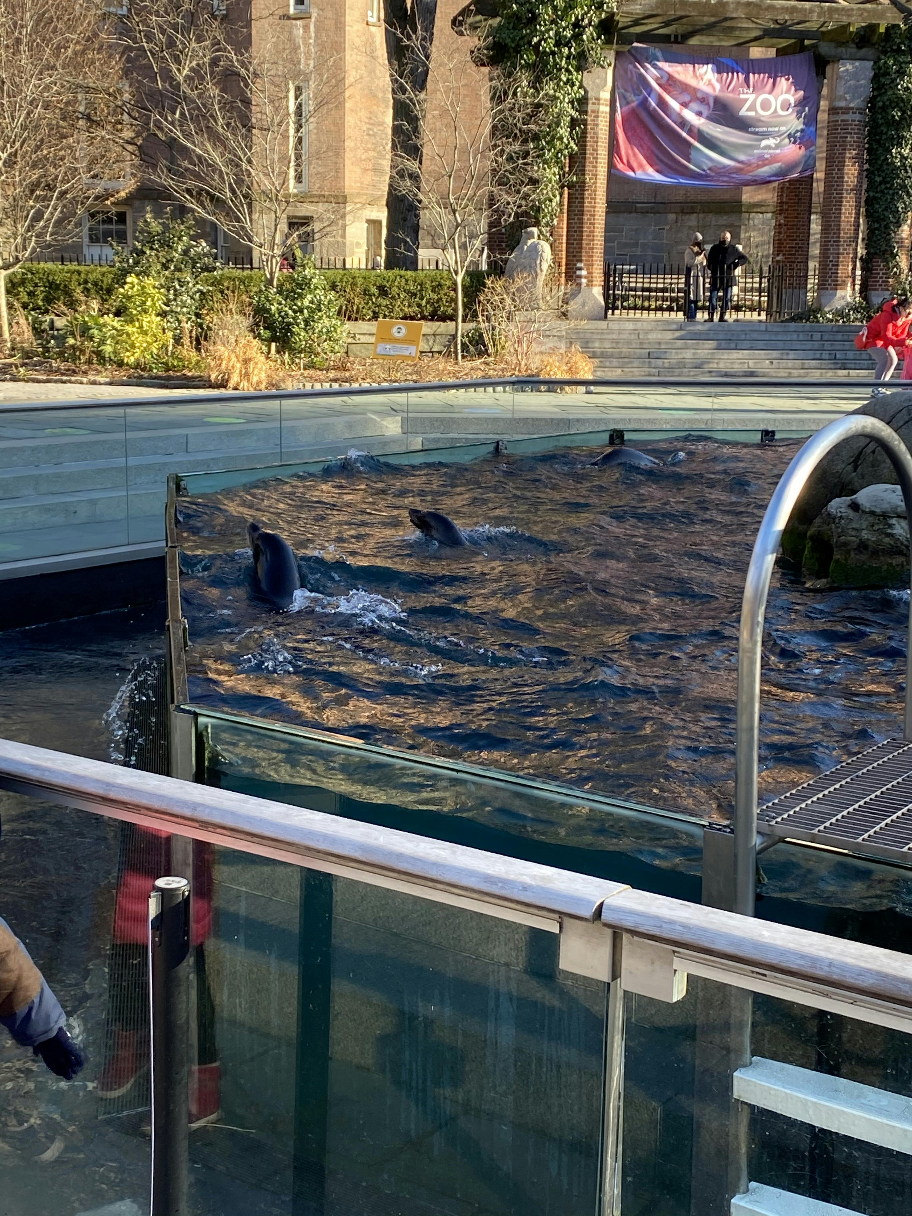 Web tickets & admission faqs can i buy tickets at the zoo? Tickets Central Park Zoo New York