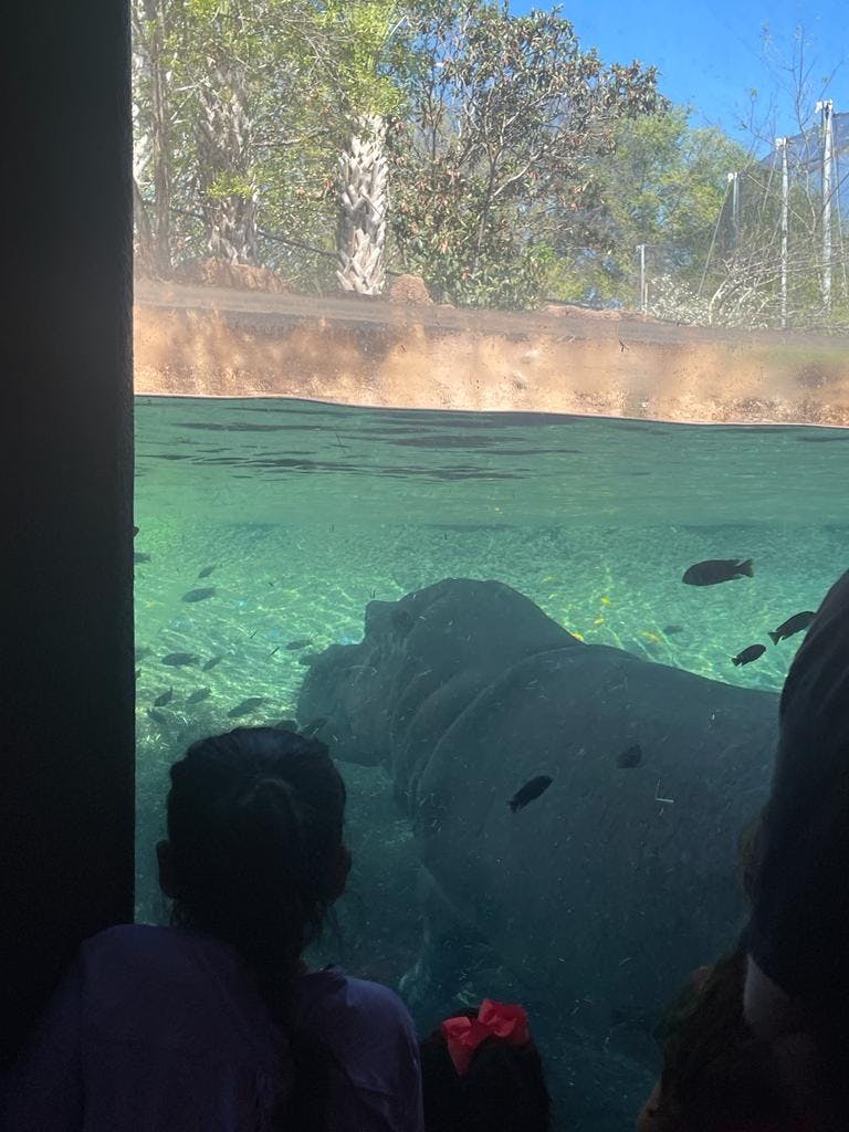 San Antonio Zoo® Tickets San Antonio