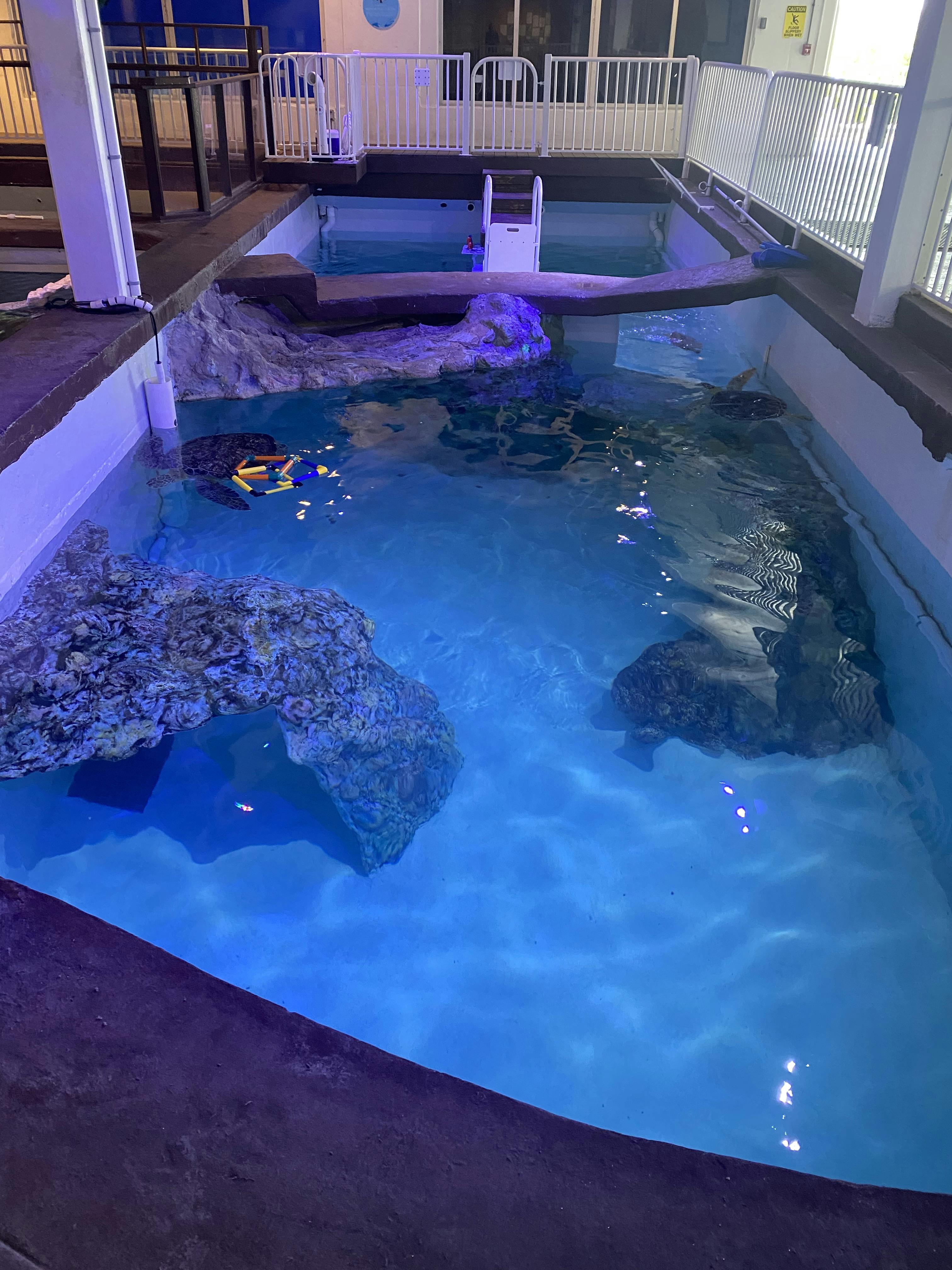 Clearwater Marine Aquarium tickets Clearwater