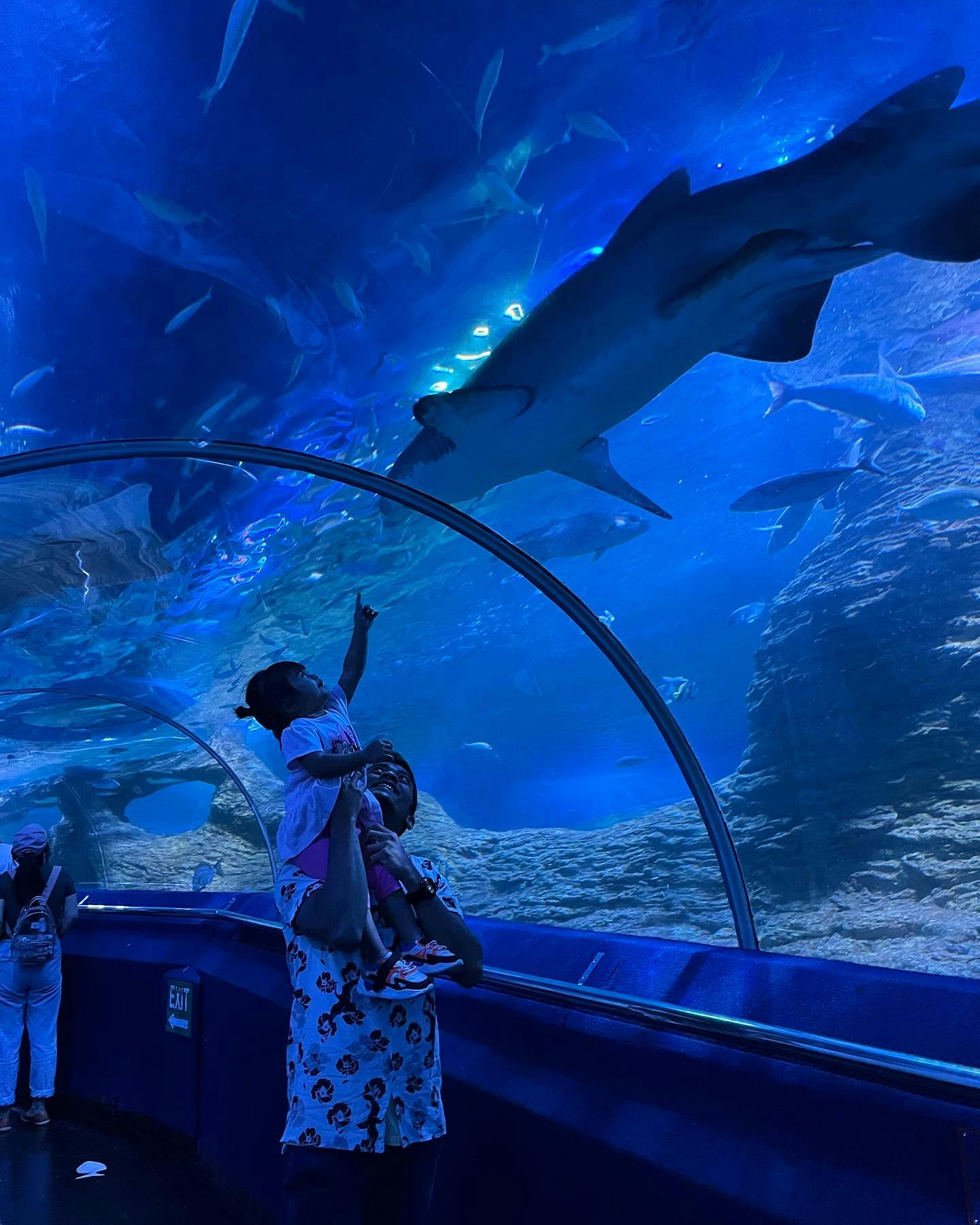 AQWA The Aquarium of Western Australia Tickets Perth