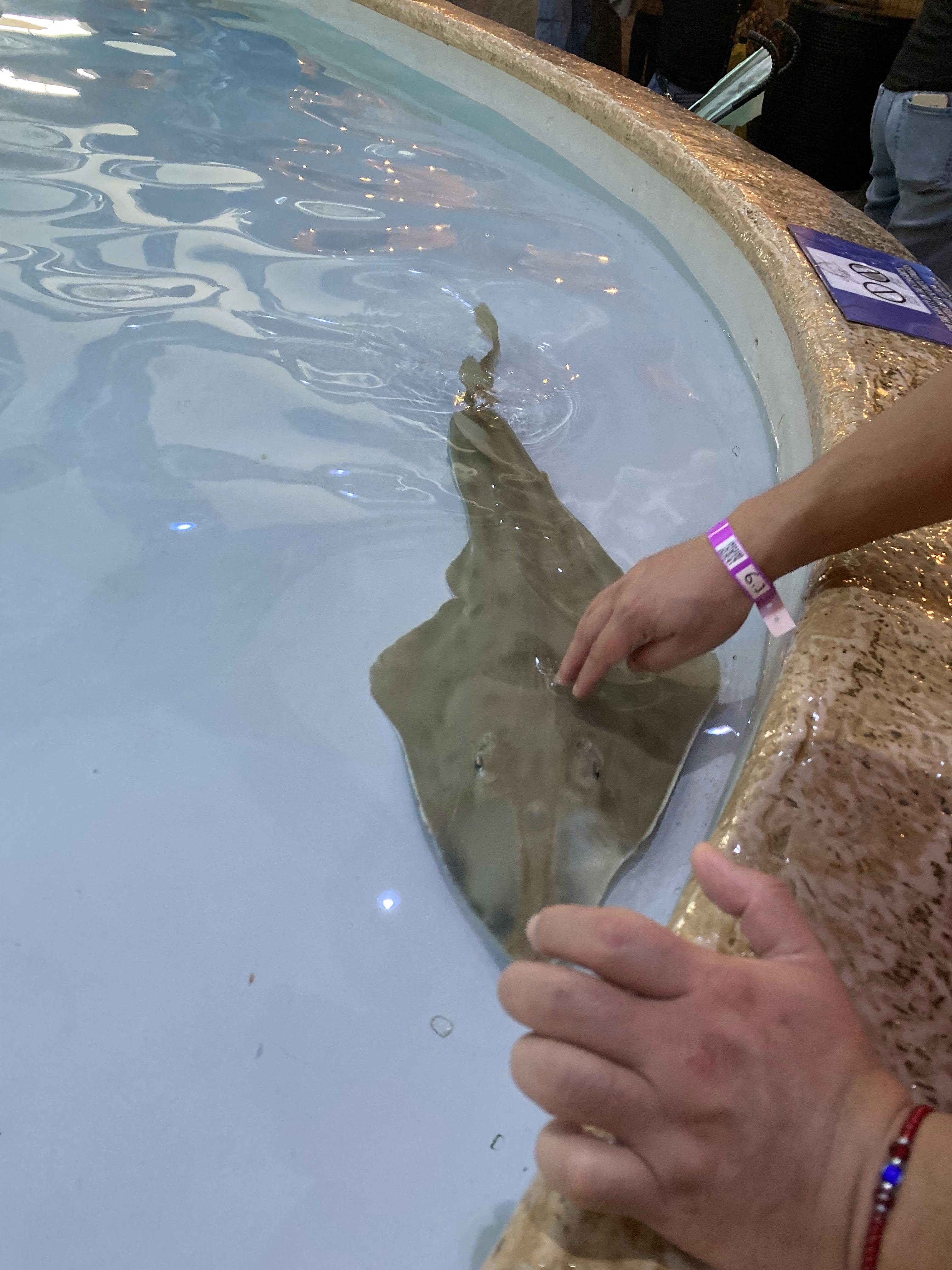 Downtown Aquarium Denver Tickets Denver