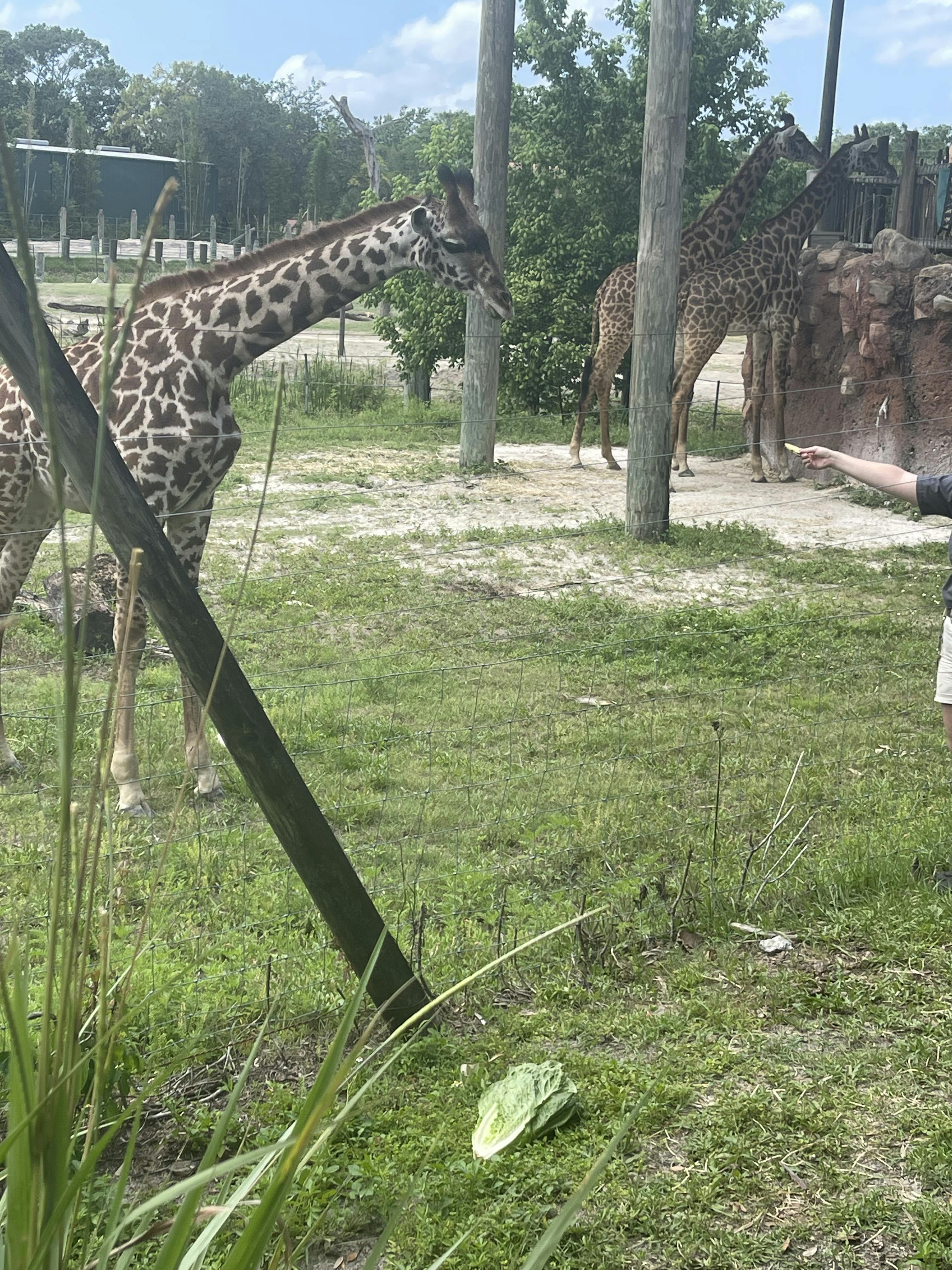 ZooTampa at Lowry Park Tickets Tampa