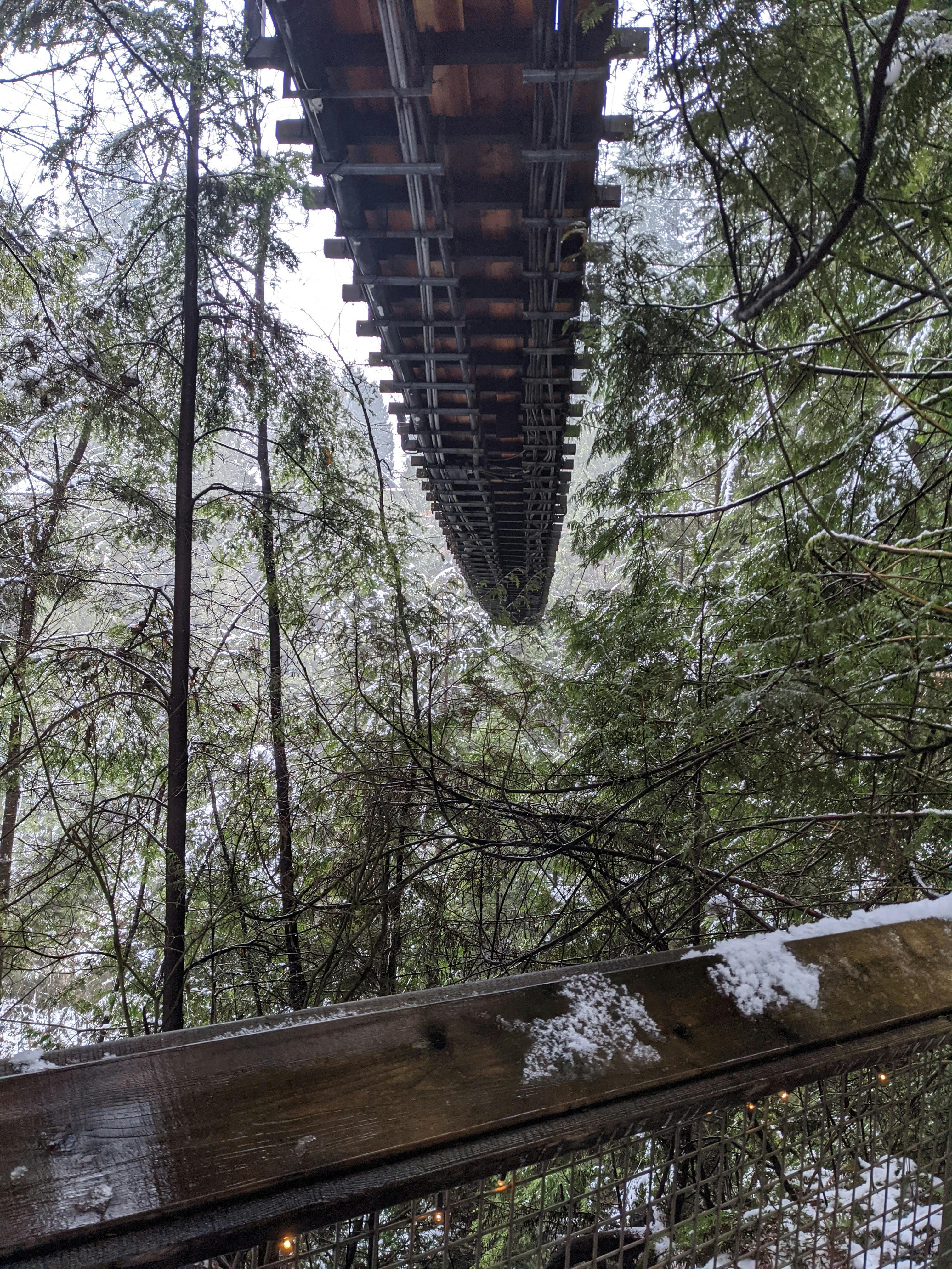 Tickets for Capilano Suspension Bridge Park Tiqets