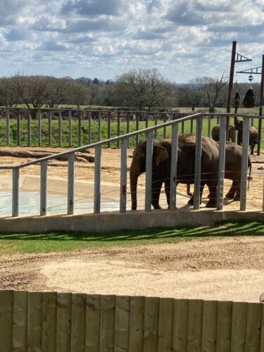 ZSL Whipsnade Zoo Tickets Whipsnade