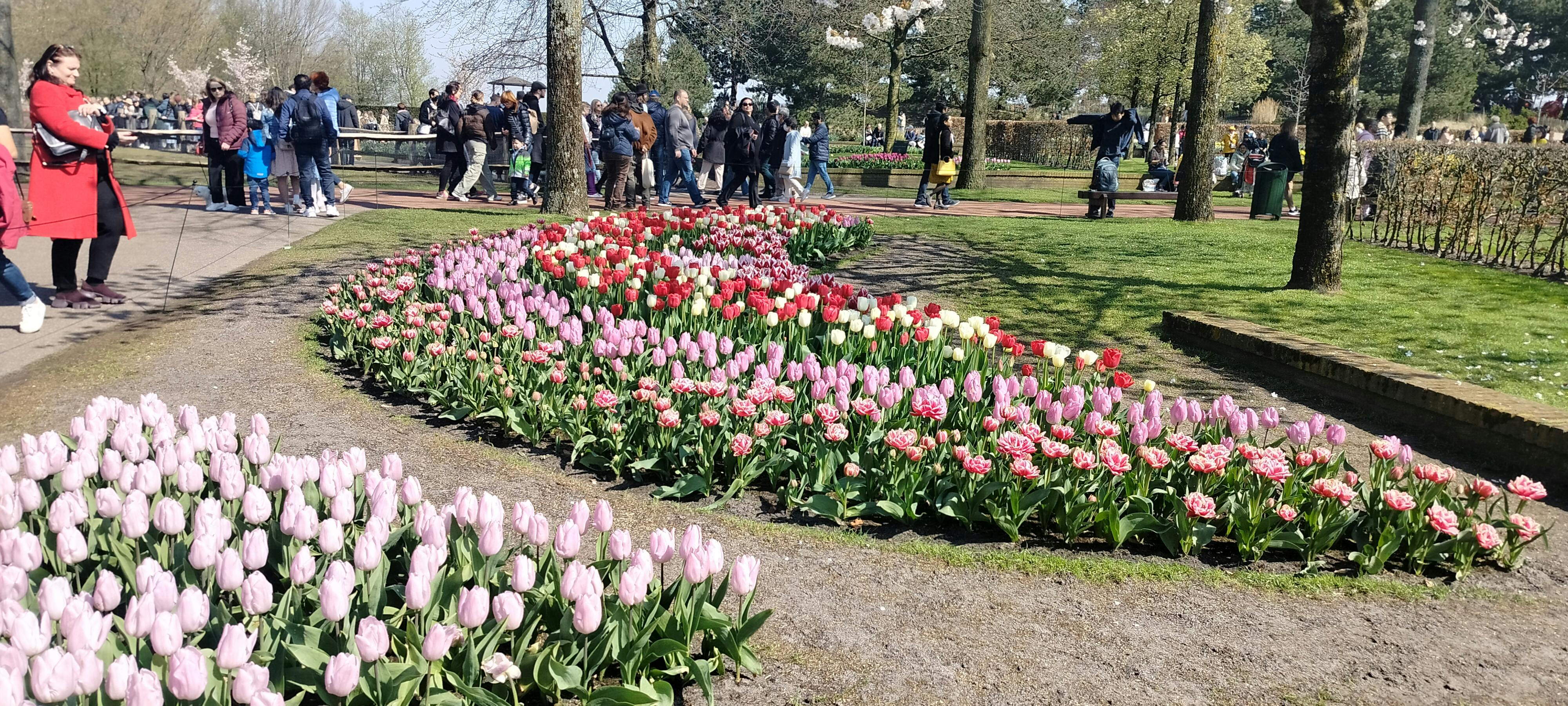 Keukenhof Tour With Admission Transfer Tickets   4453a7e874c249a587e49b8a8be186c9 