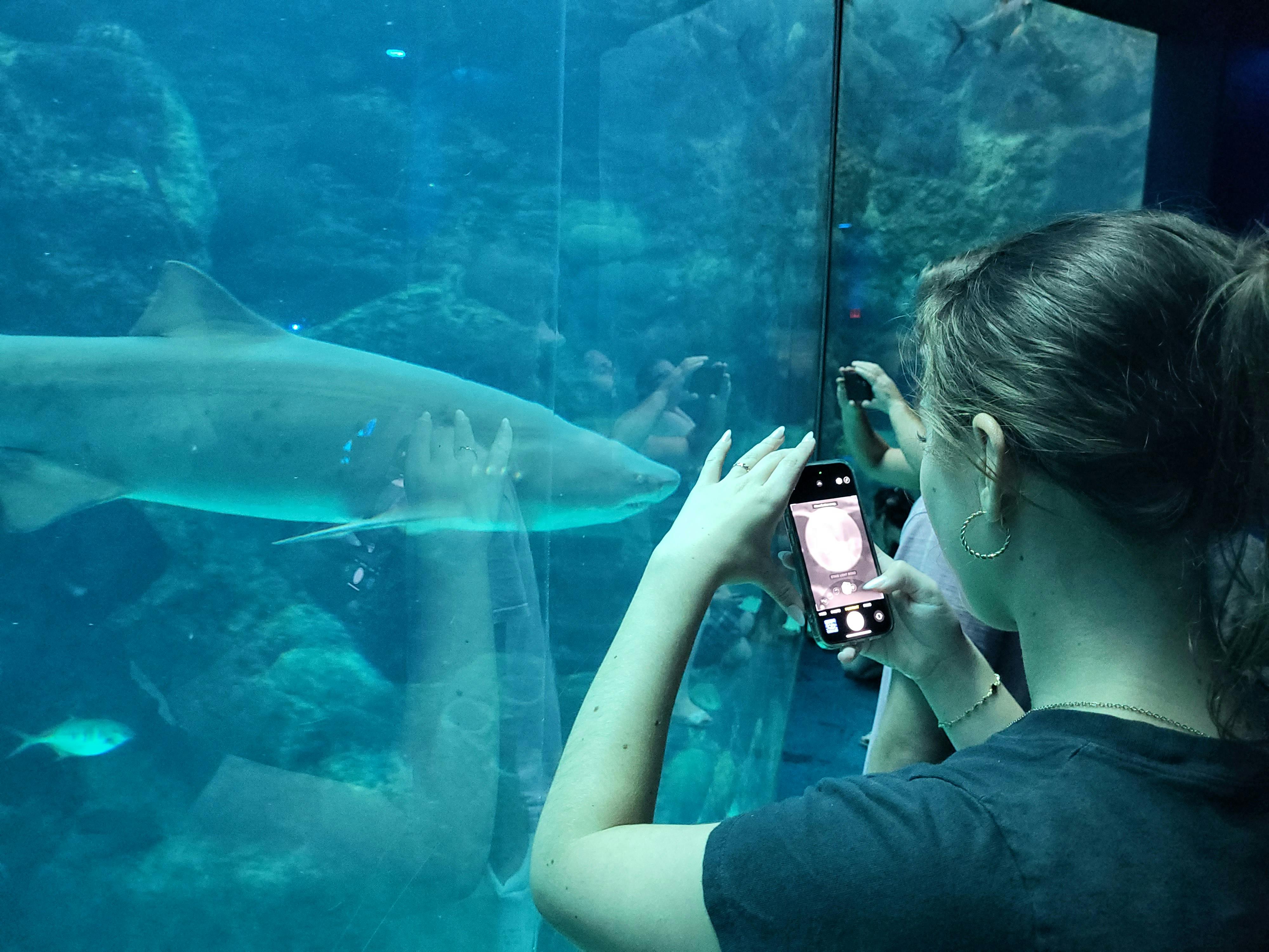 The Florida Aquarium tickets Tampa