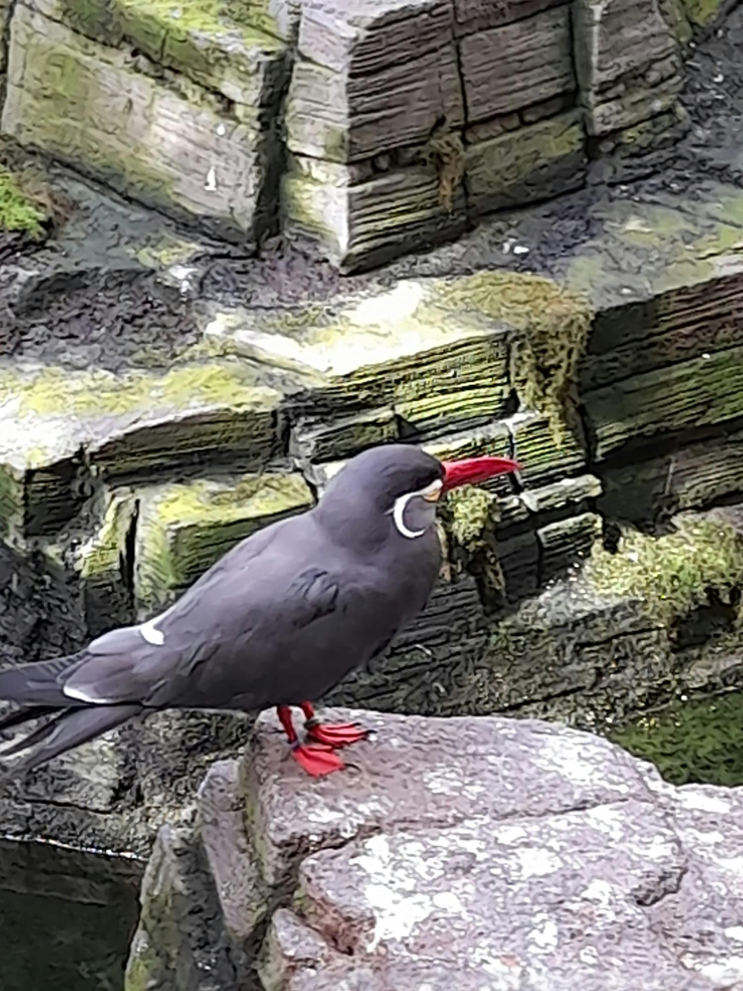 Tickets ARTIS Amsterdam Royal Zoo Amsterdam