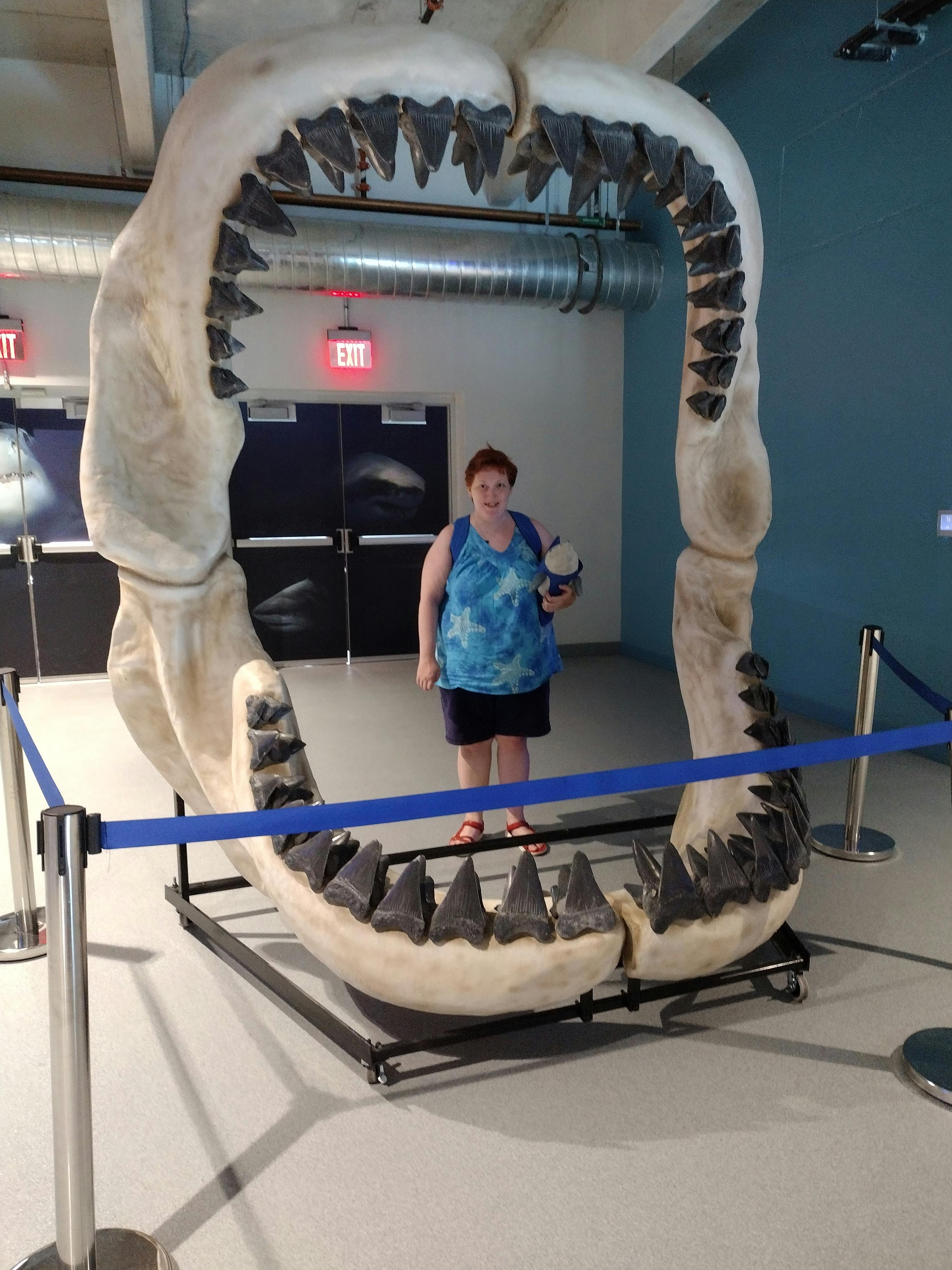 Clearwater Marine Aquarium General Admission Tiqets