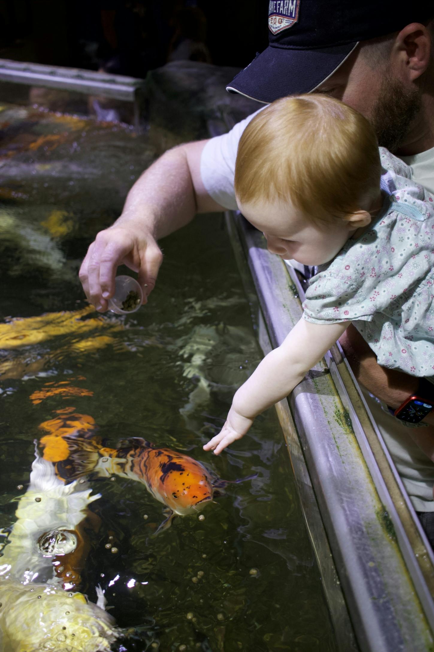 Austin Aquarium Tickets Austin