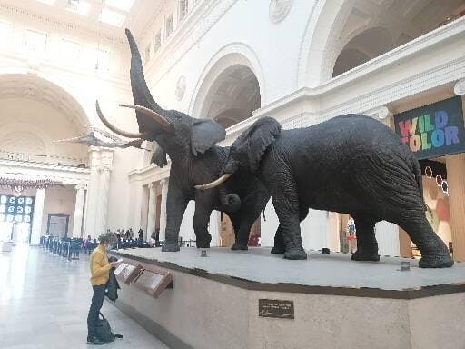 The Field Museum Tickets Chicago