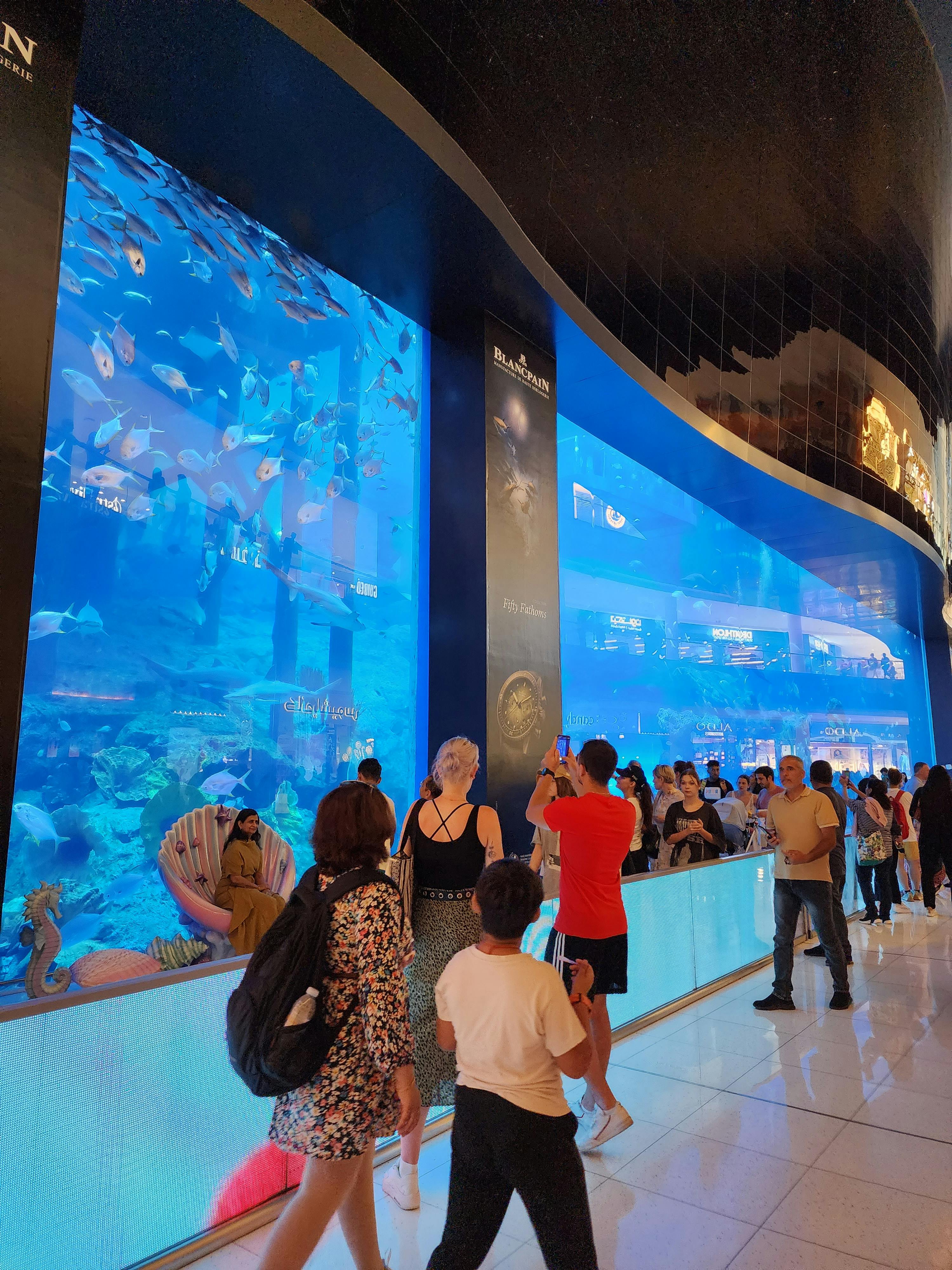 Dubai Aquarium & Underwater Zoo - Book Online | Tiqets