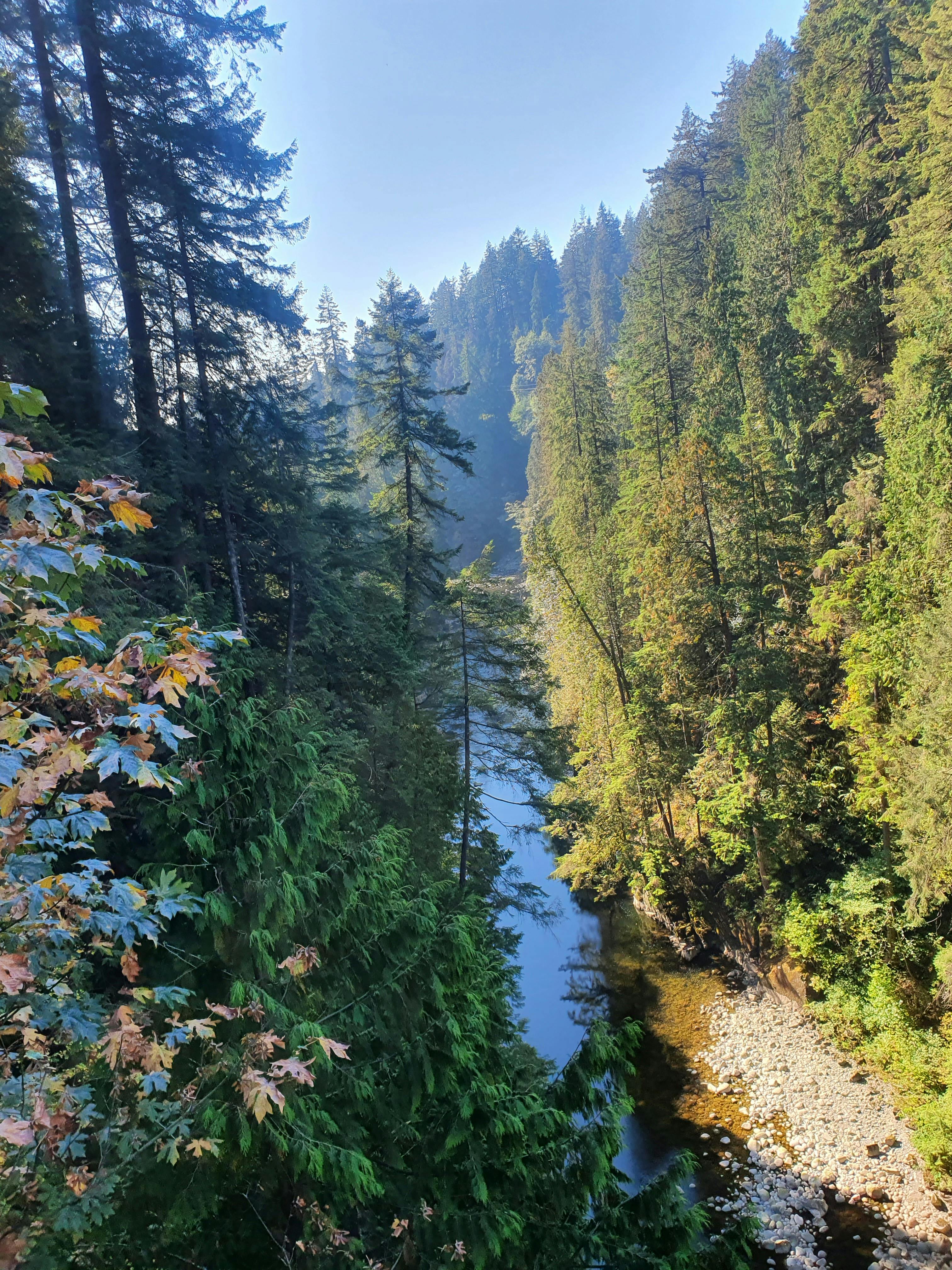 Tickets for Capilano Suspension Bridge Park Tiqets