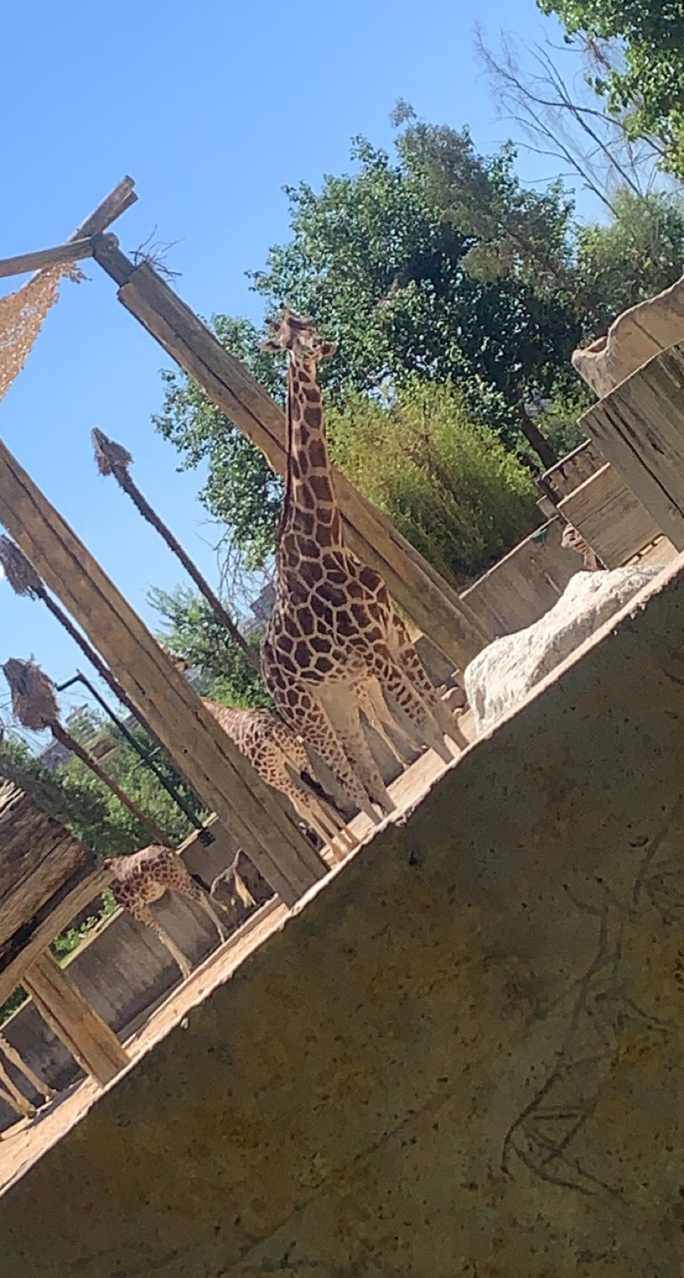 Zoo Aquarium Madrid Tickets Madrid