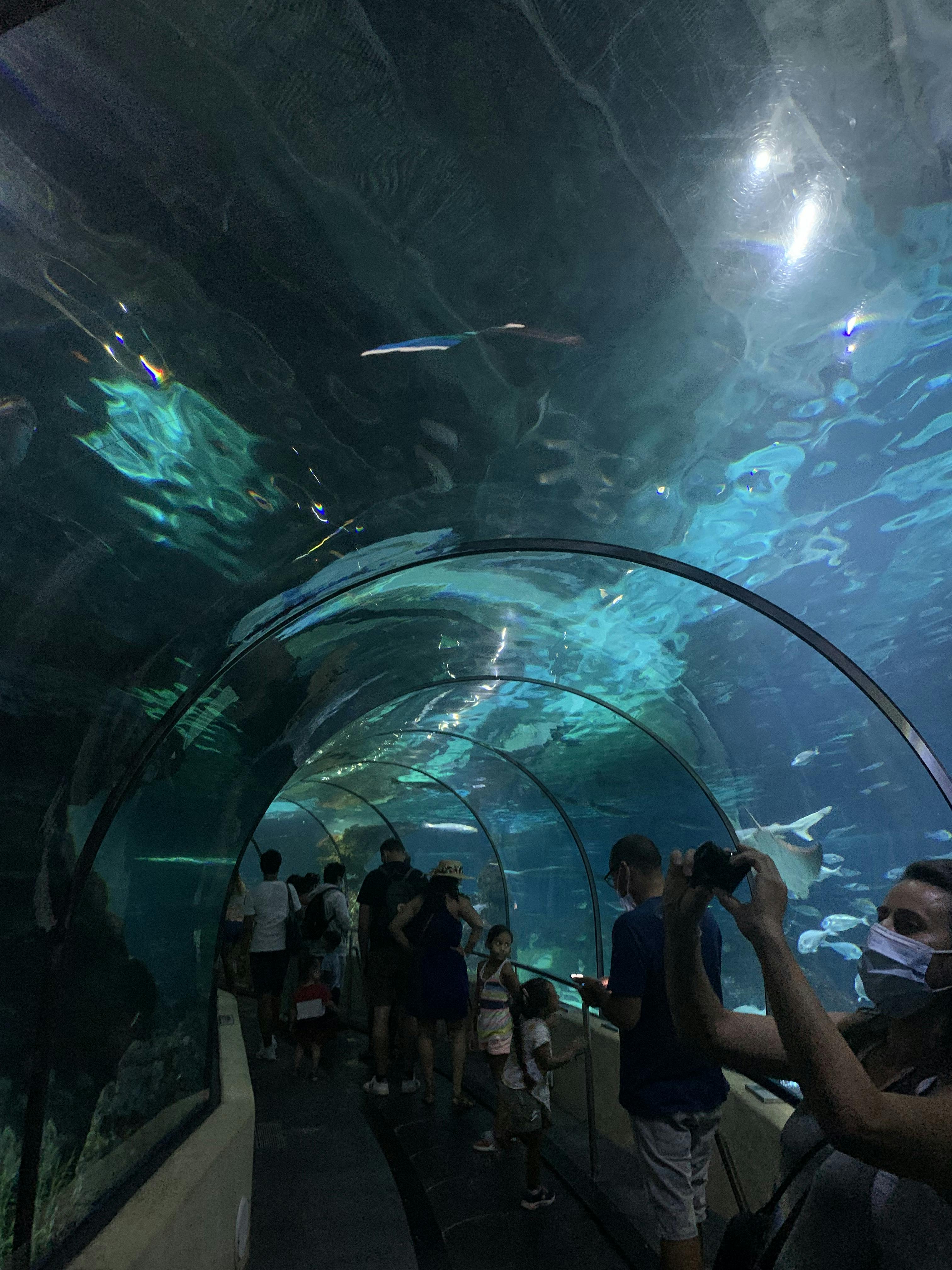 Barcelona Aquarium Tickets Eintritt Tiqets