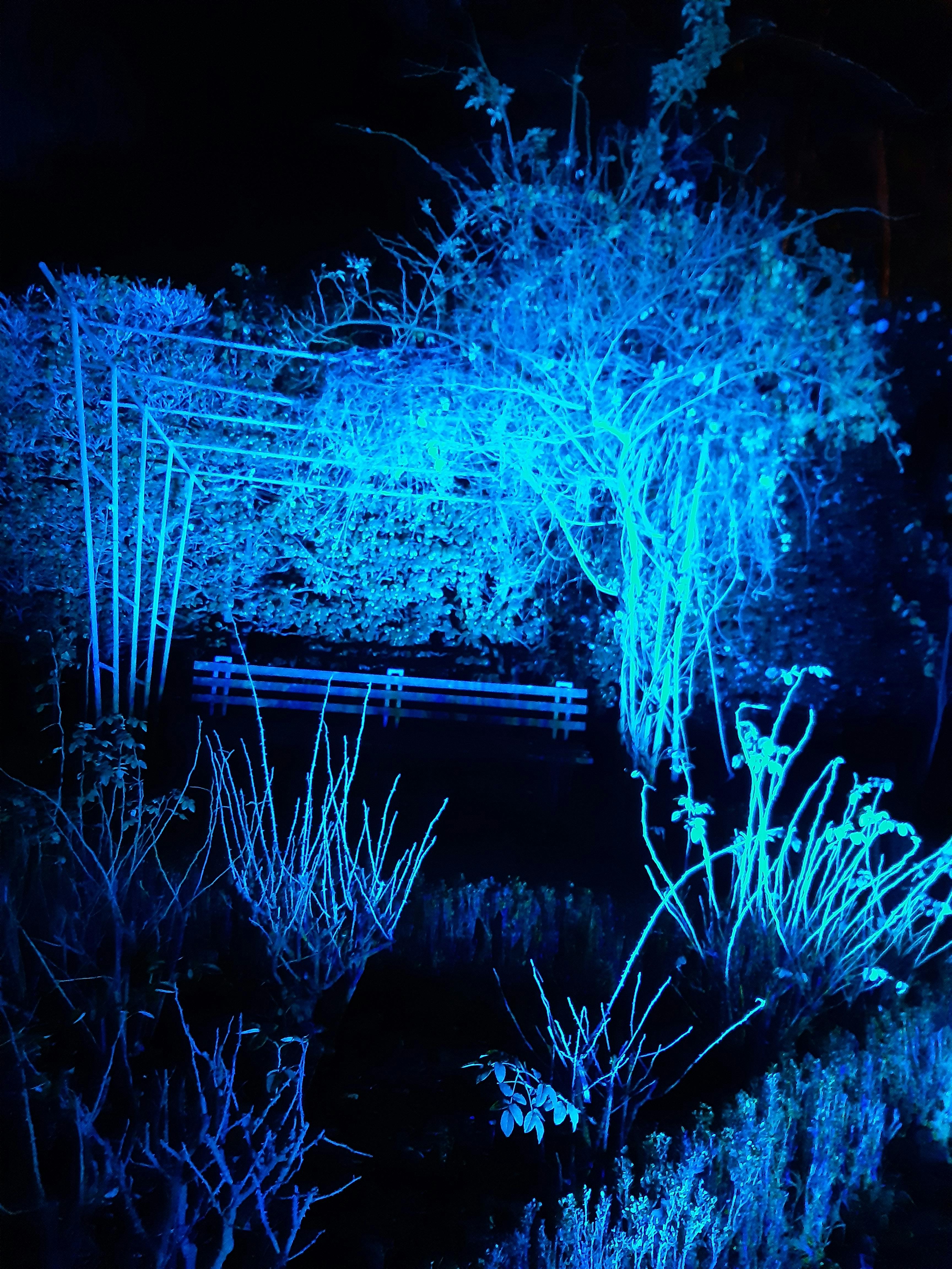 Magical Garden Porto Bilhetes Porto Tiqets Com