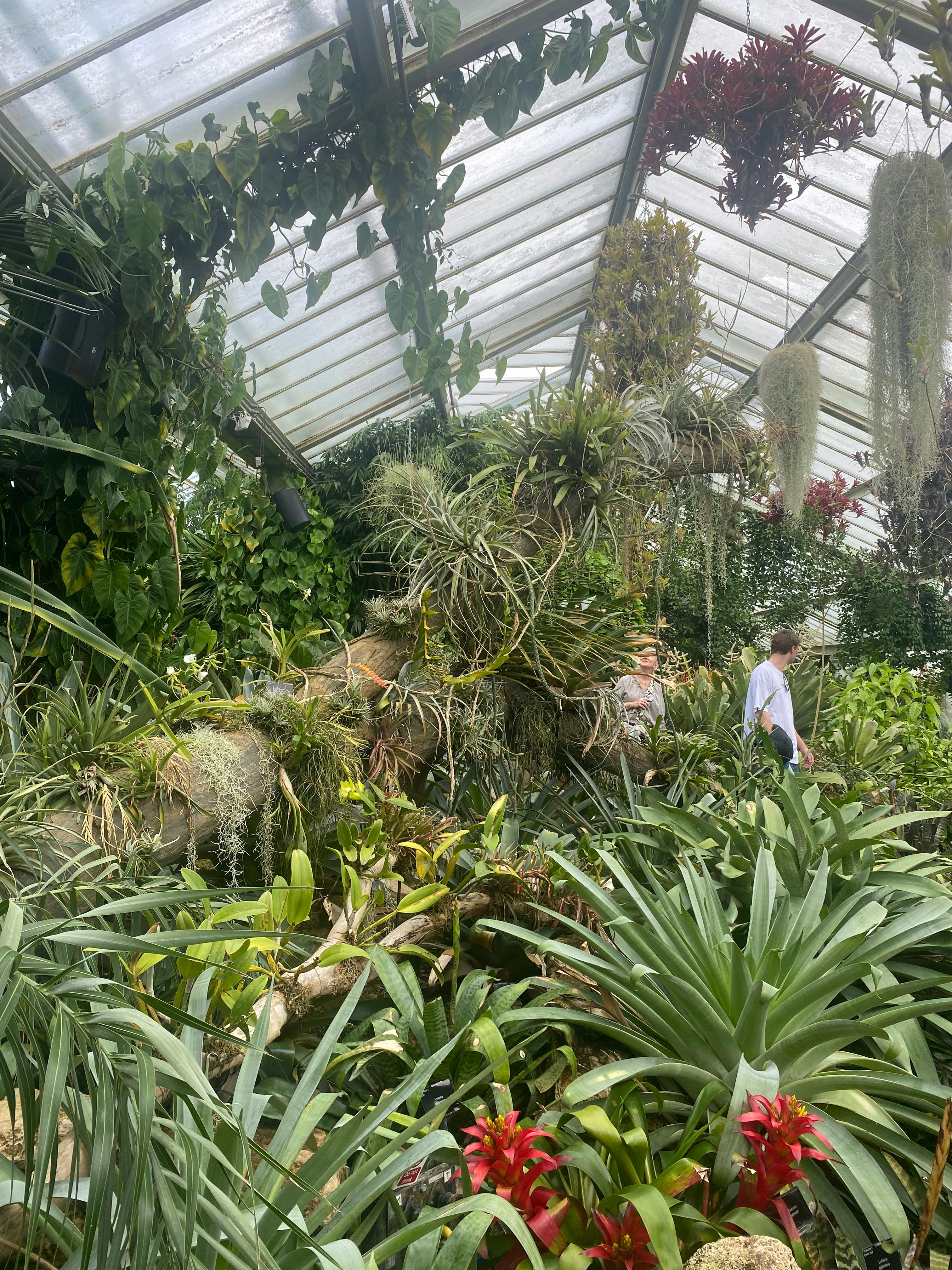 Kew Gardens Tickets London