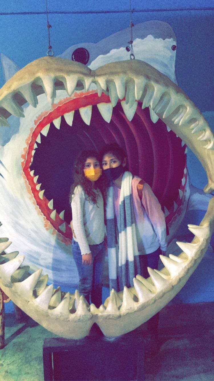 Austin Aquarium tickets Austin