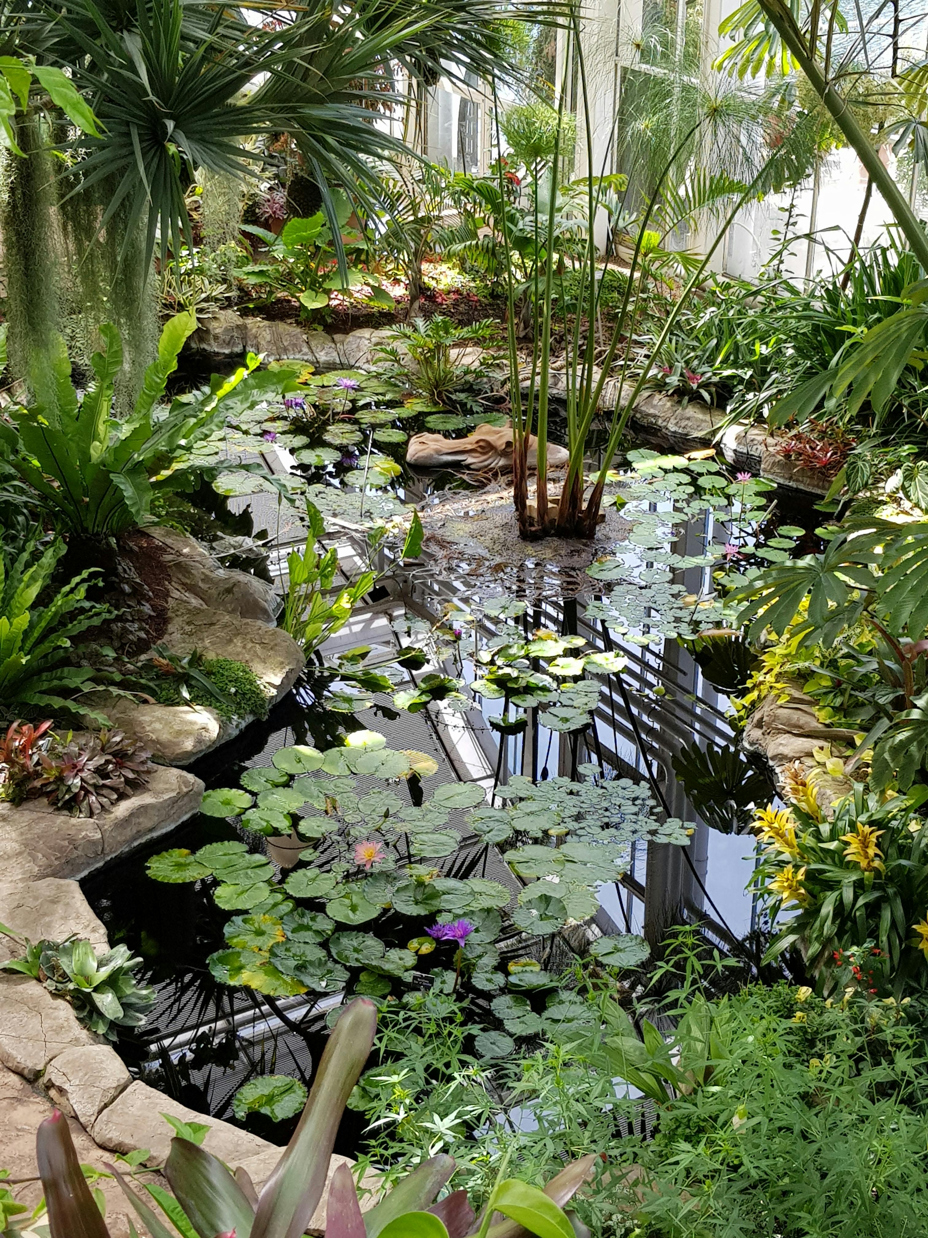 Rhsガーデン ウィズリーのチケット ー ウィズリー Tiqets Com