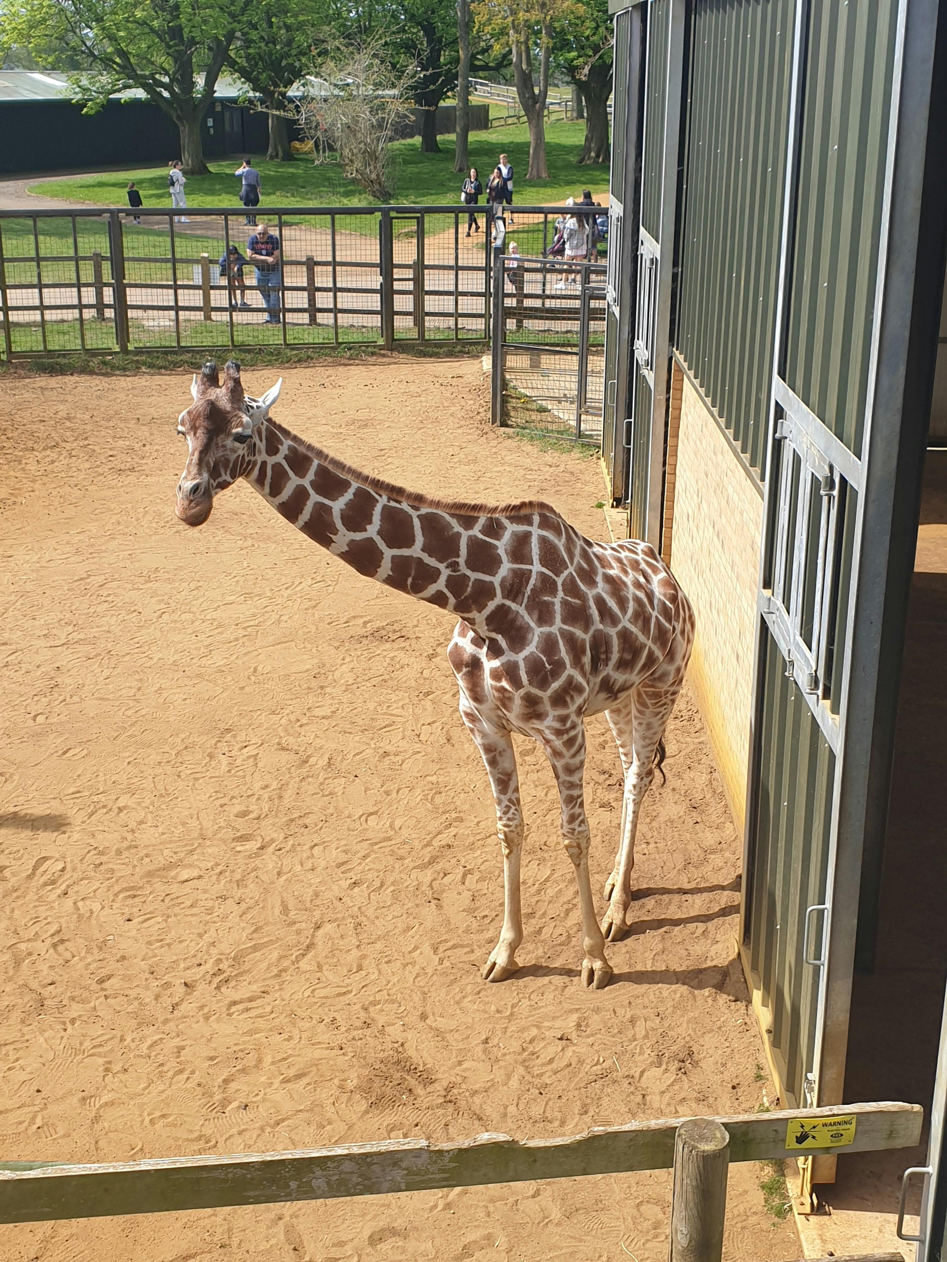 ZSL Whipsnade Zoo tickets Whipsnade