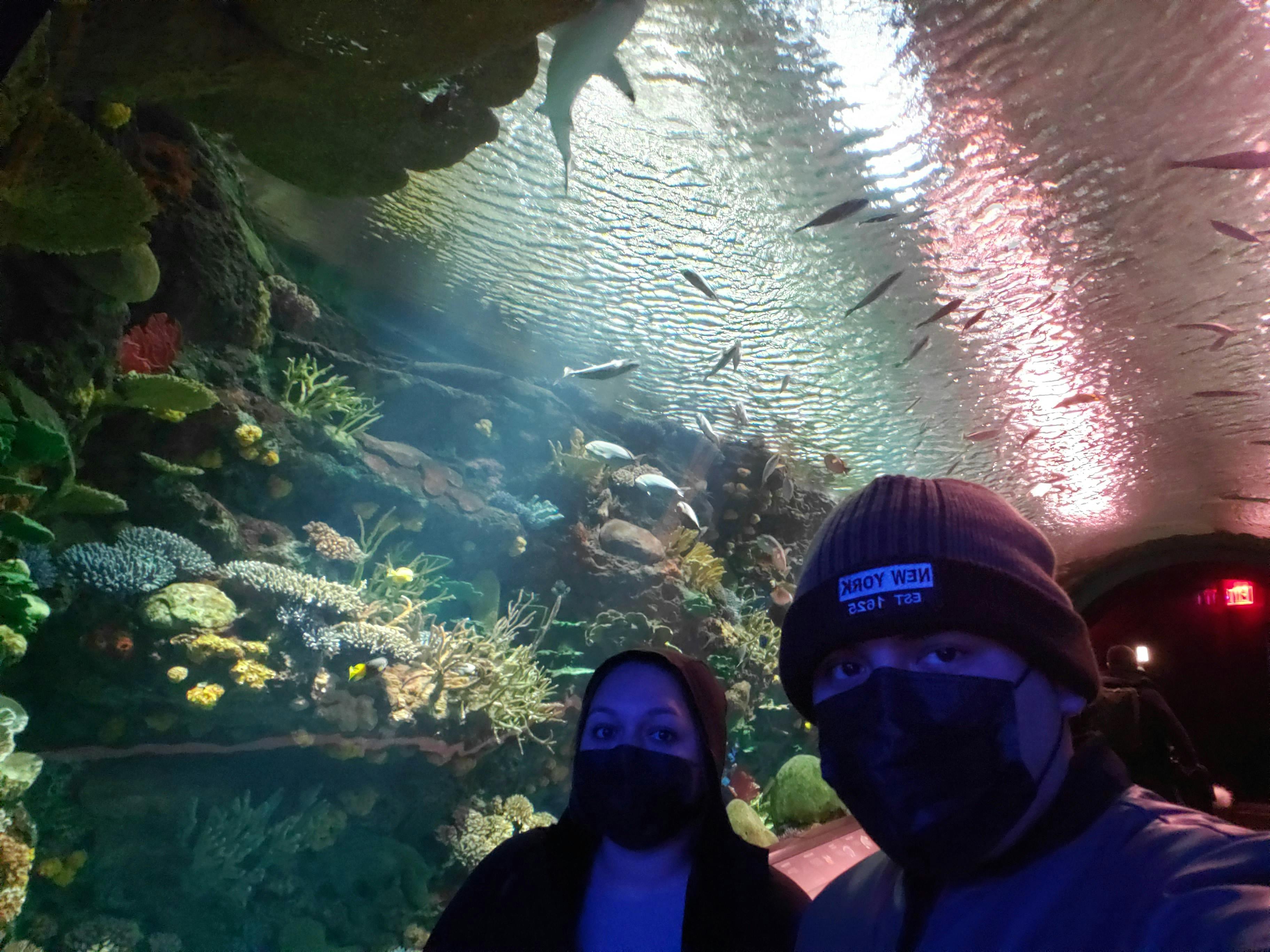 New York Aquarium Tickets New York