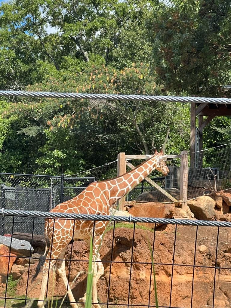 Atlanta Zoo + Aquarium Pass Tiqets