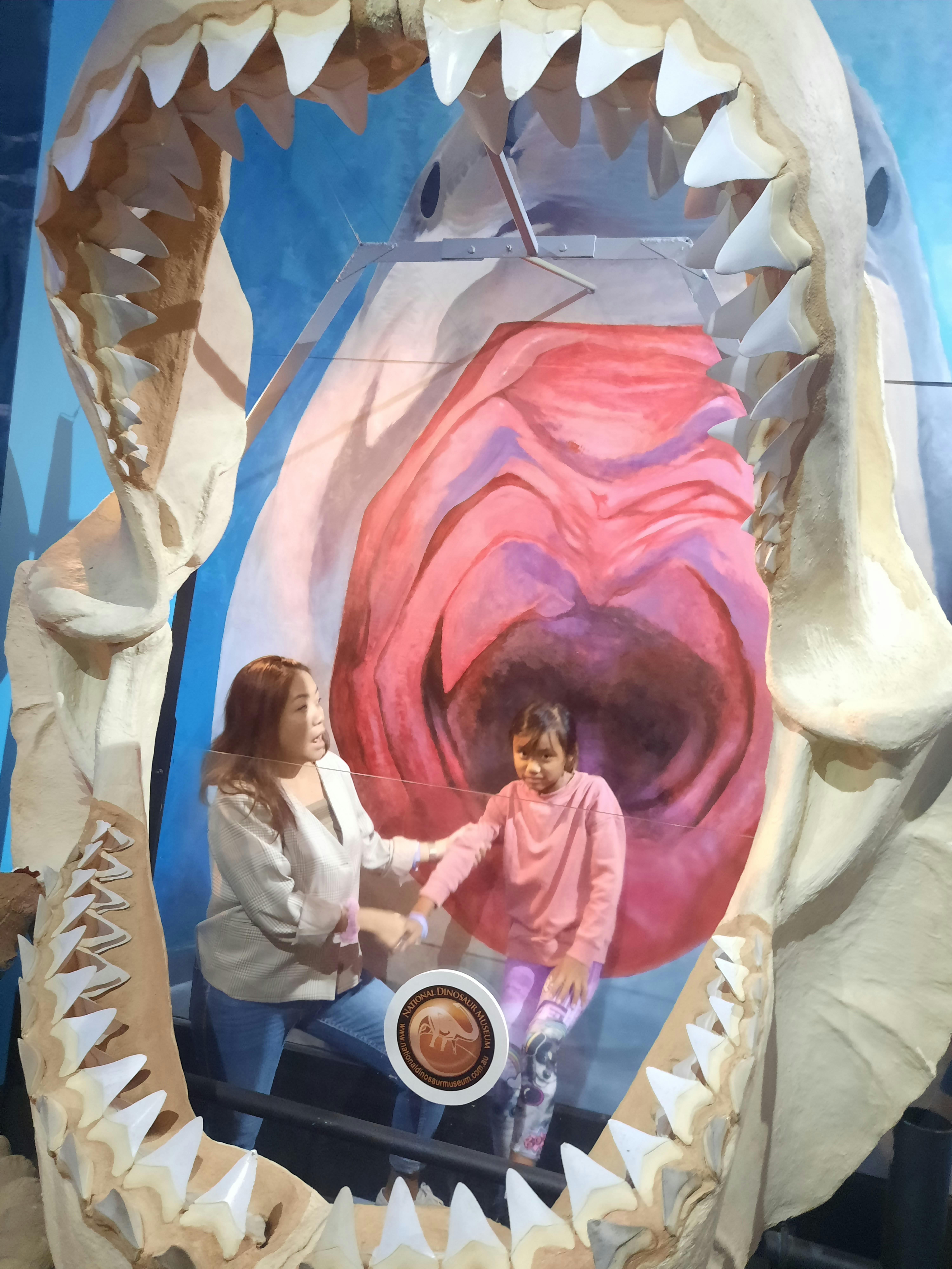 National Dinosaur Museum tickets Nicholls