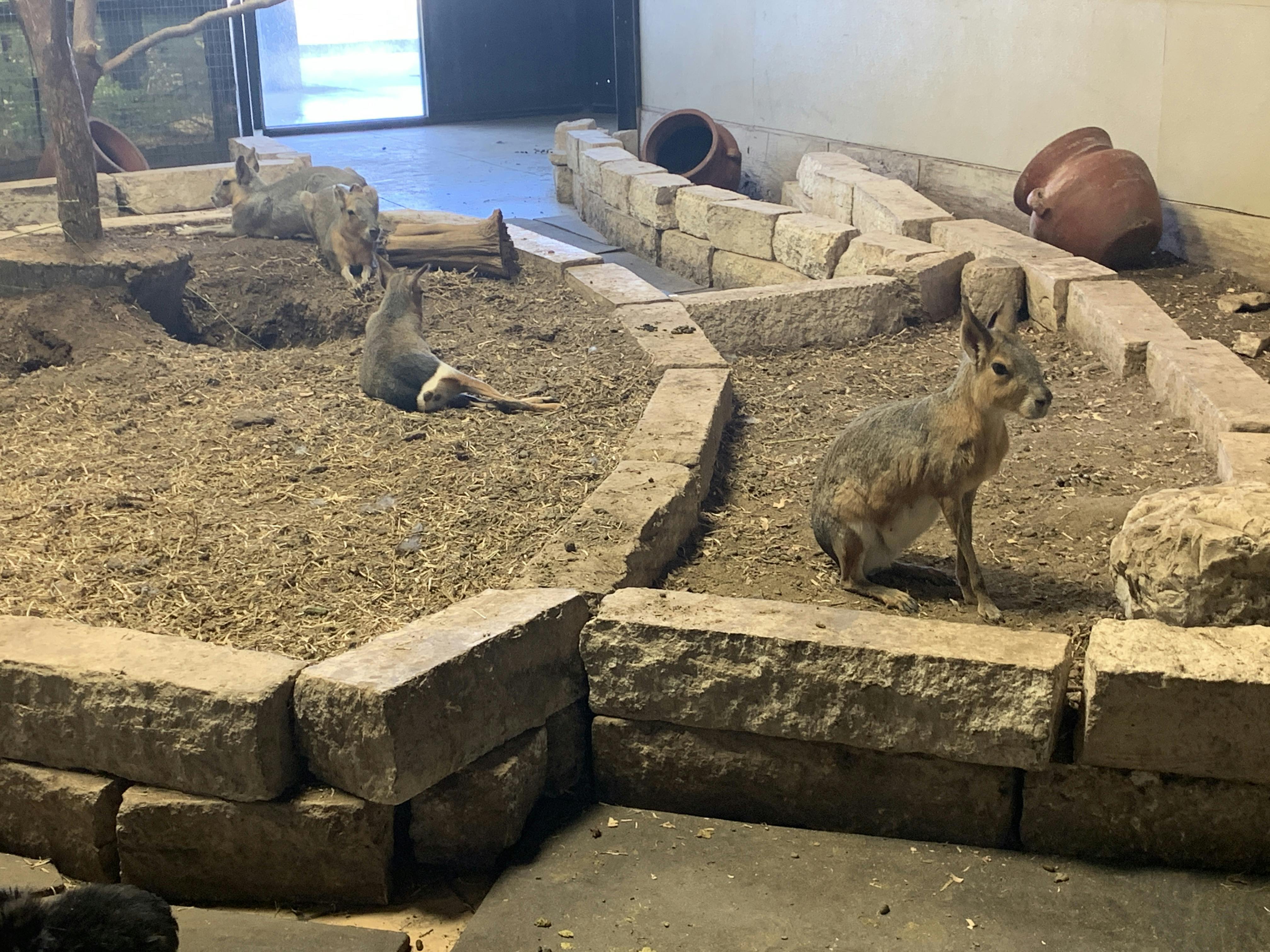 San Antonio Aquarium tickets San Antonio