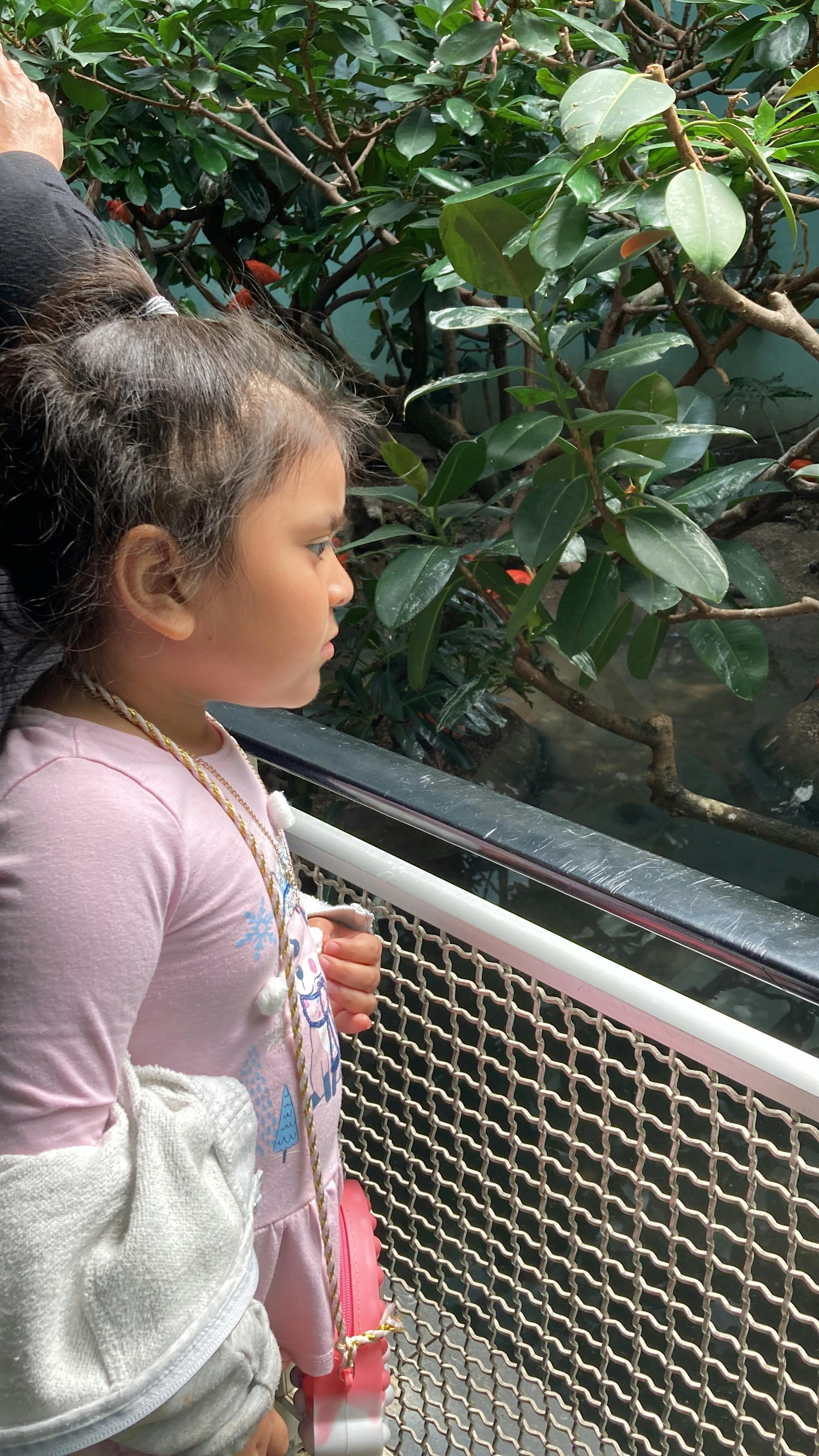 Bronx Zoo Tickets New York