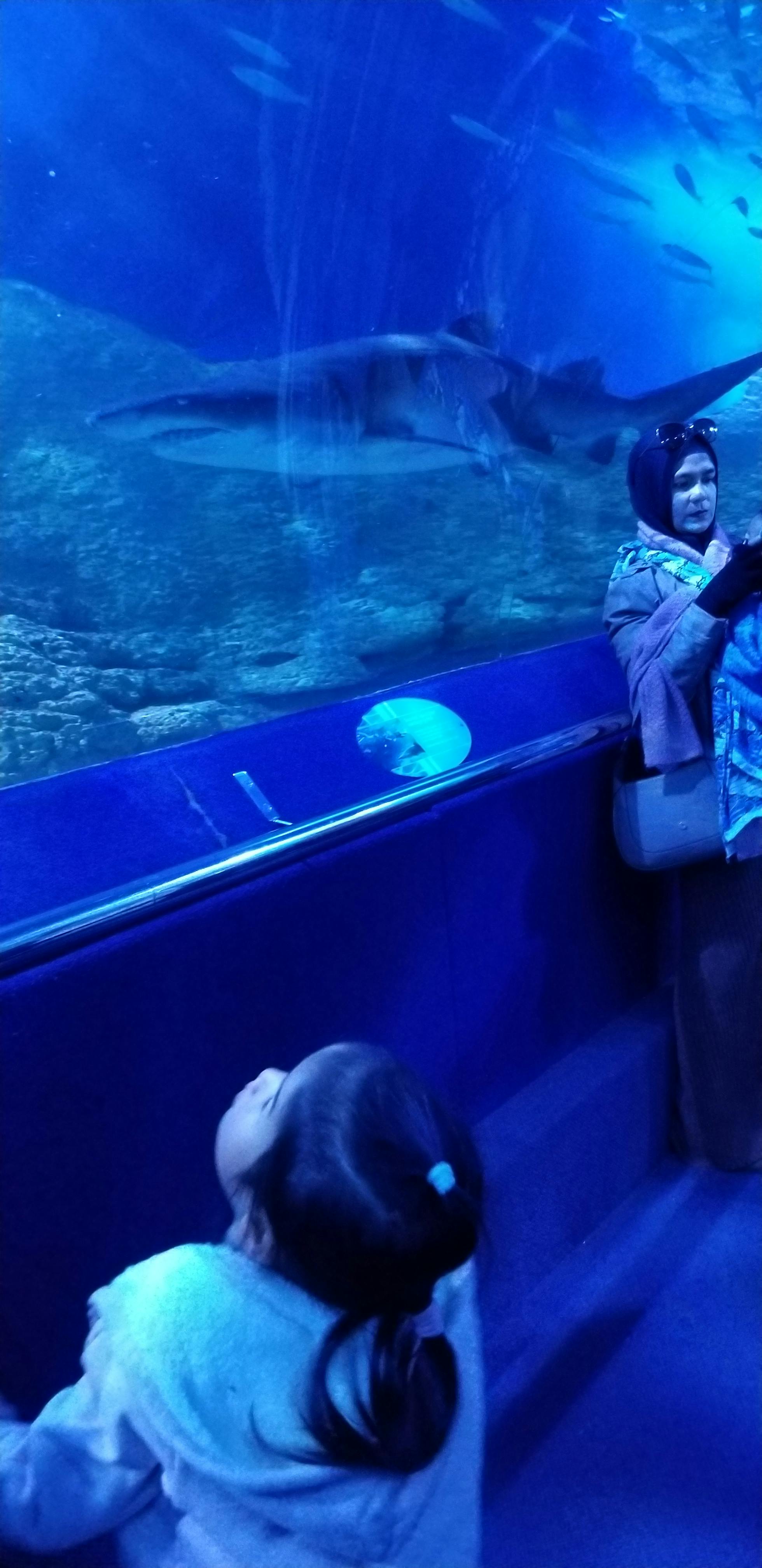 AQWA The Aquarium of Western Australia tickets Hillarys