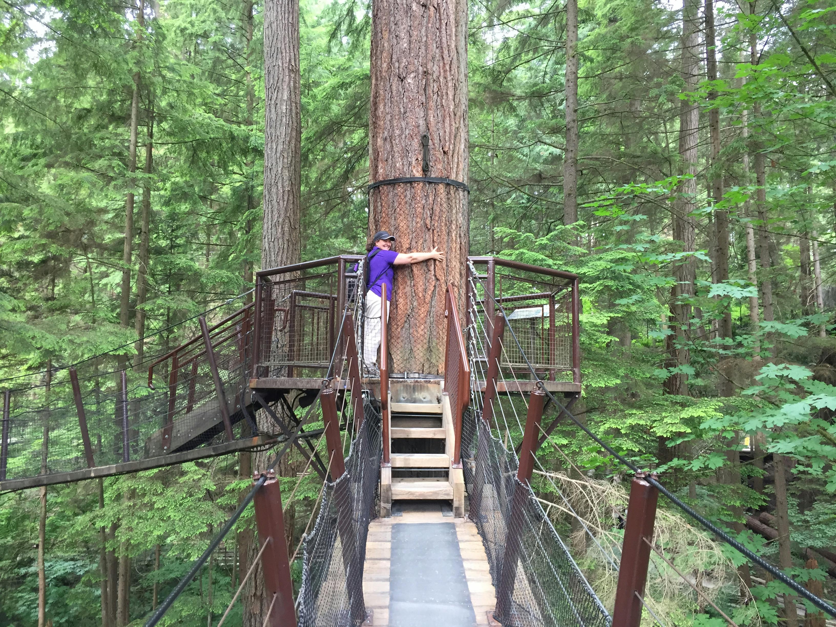 Tickets for Capilano Suspension Bridge Park Tiqets