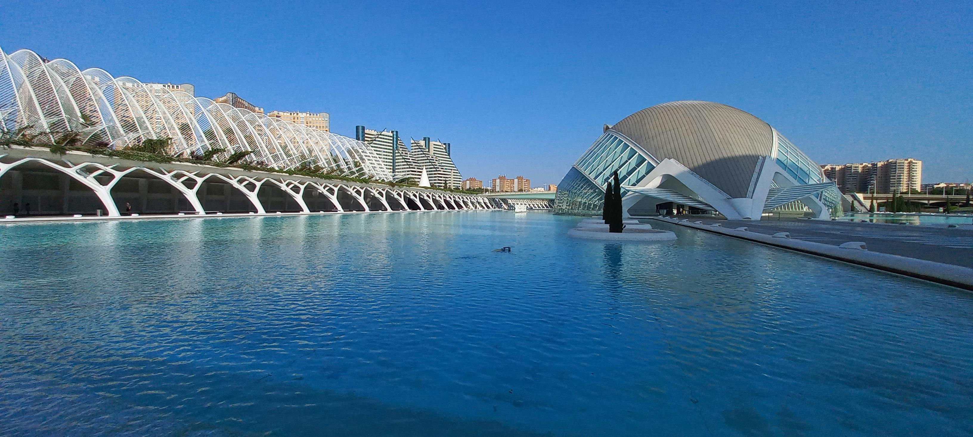 Biglietti Museo della Scienza di Valencia