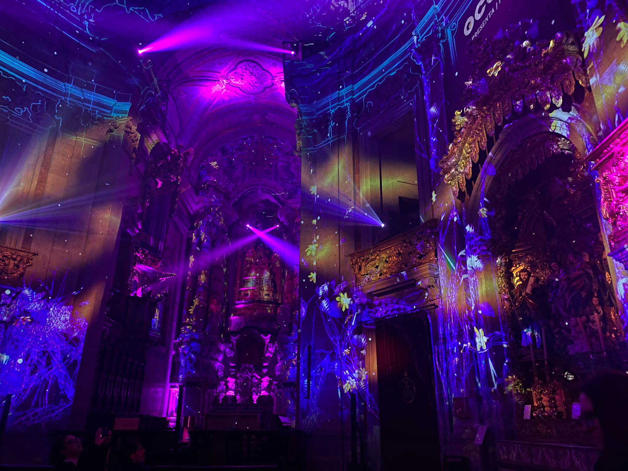 SEA LIFE Porto + Spiritus Light Show at Clérigos Church